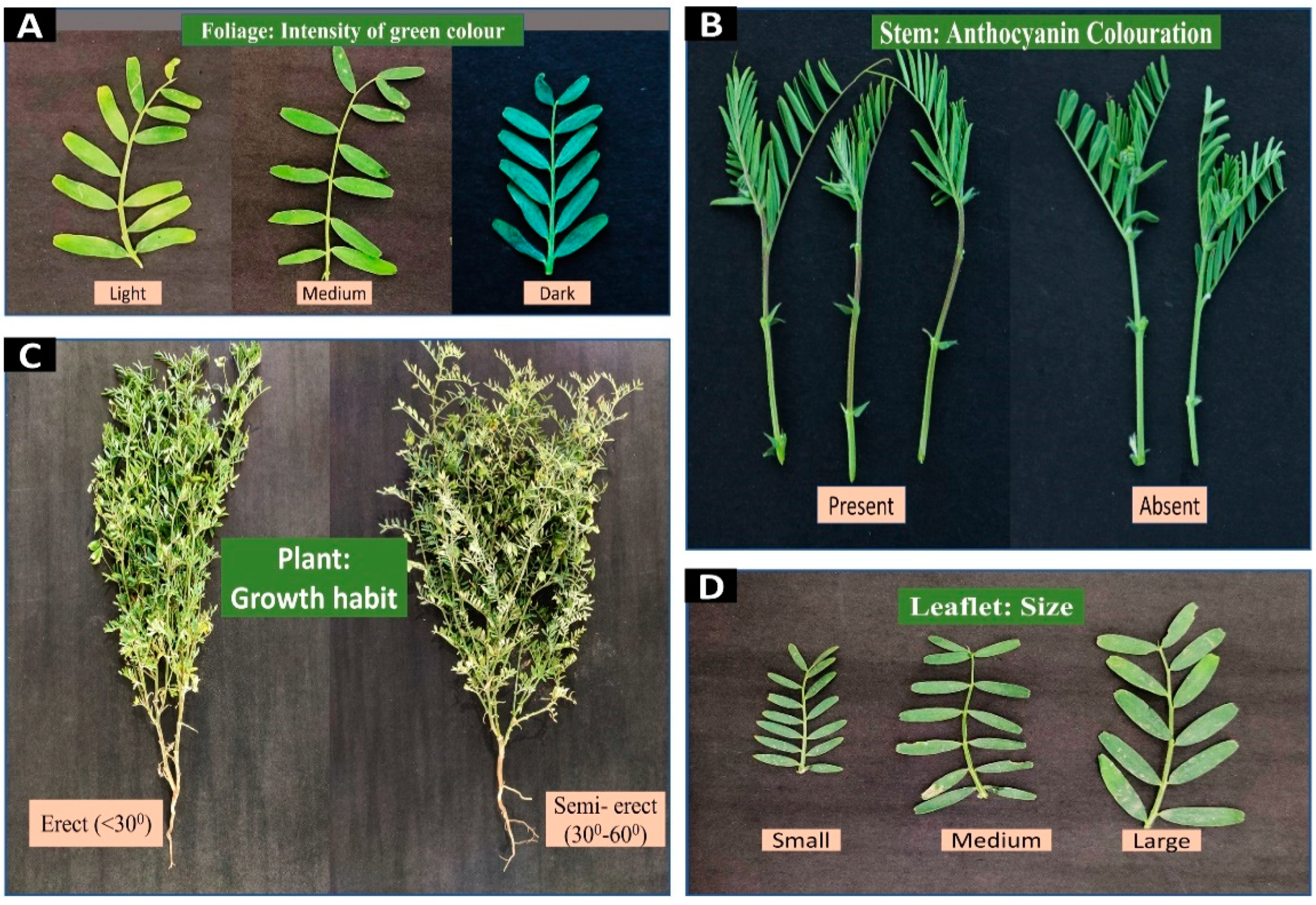 Sustainability 14 05982 g002