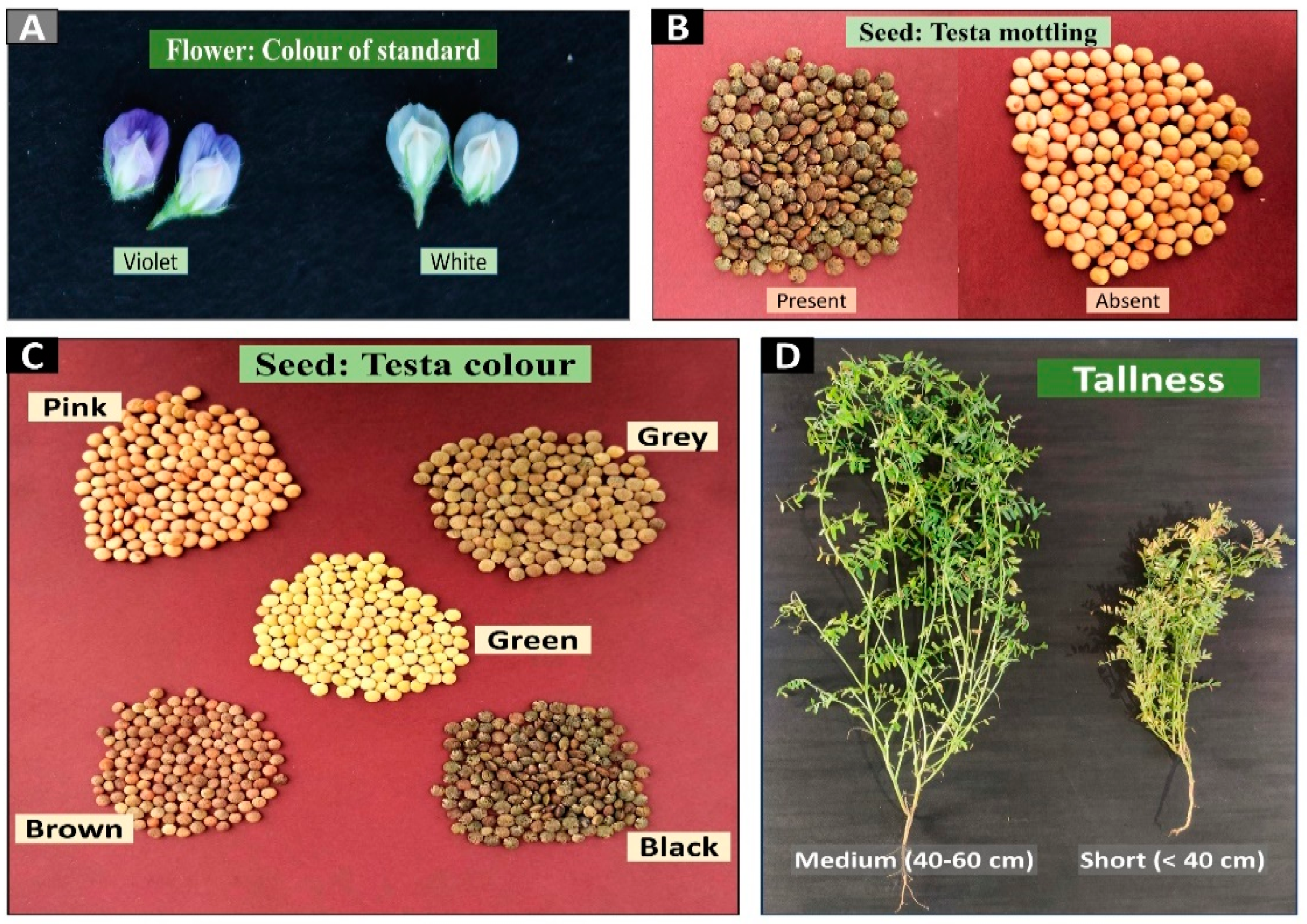 Sustainability 14 05982 g003