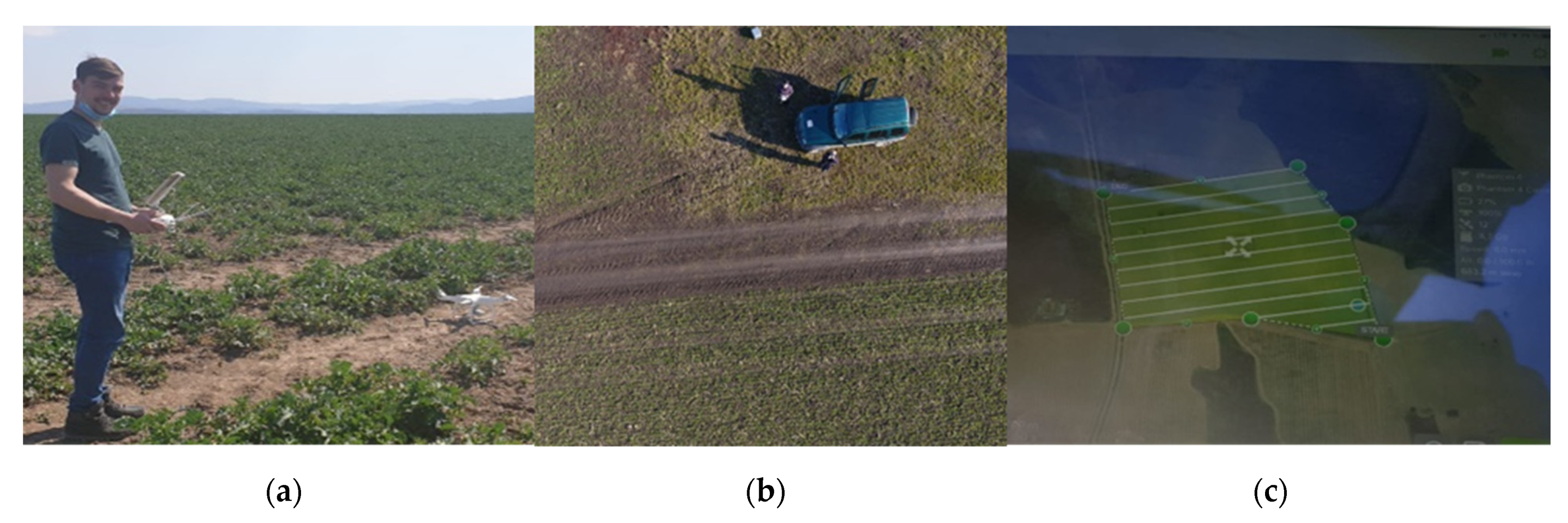 Sustainability 14 06011 g001