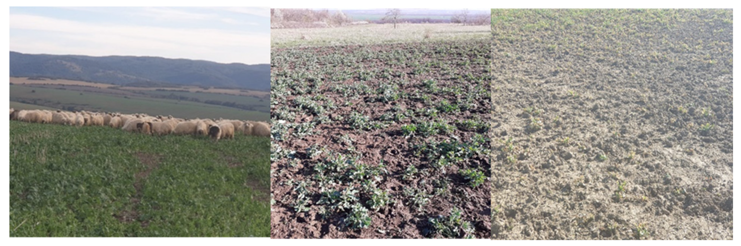 Sustainability 14 06011 g003