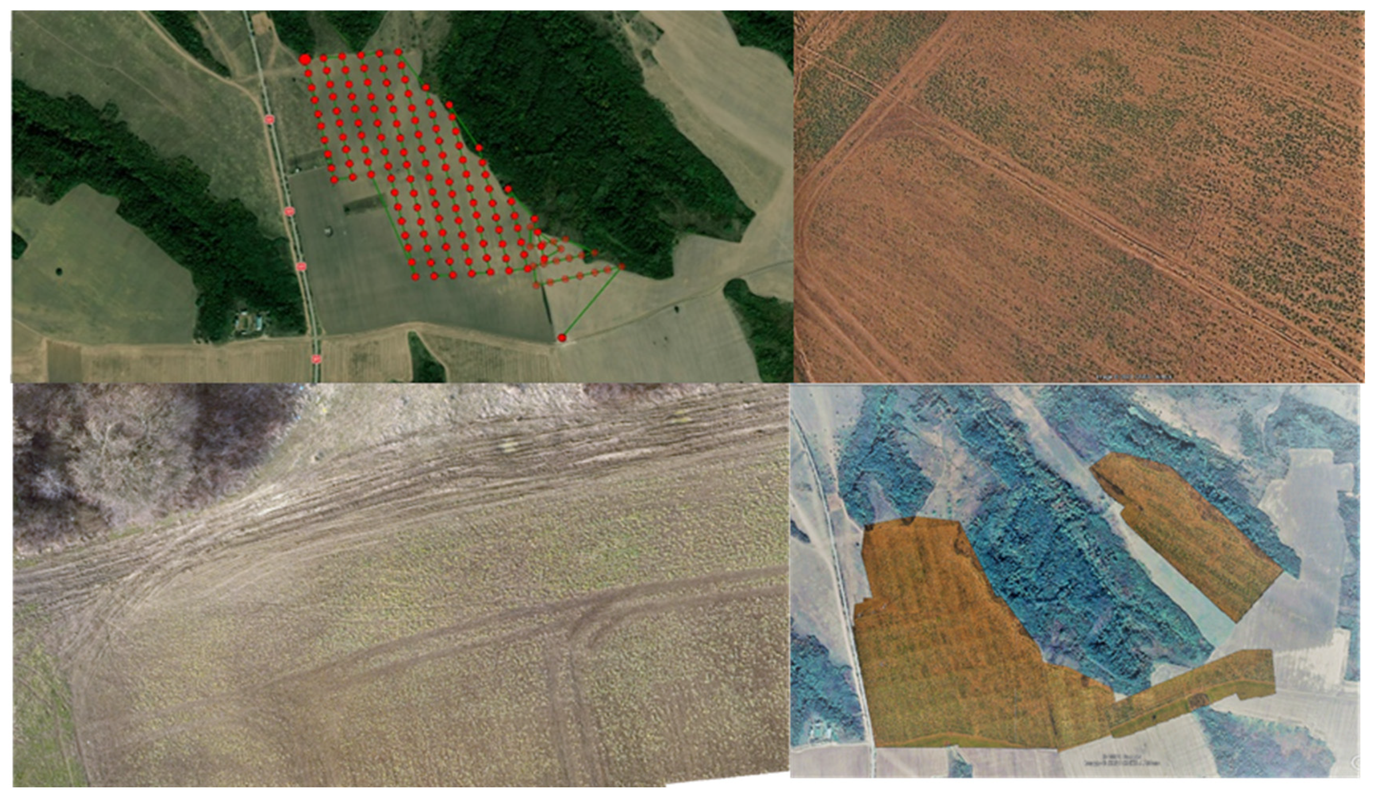 Sustainability 14 06011 g005