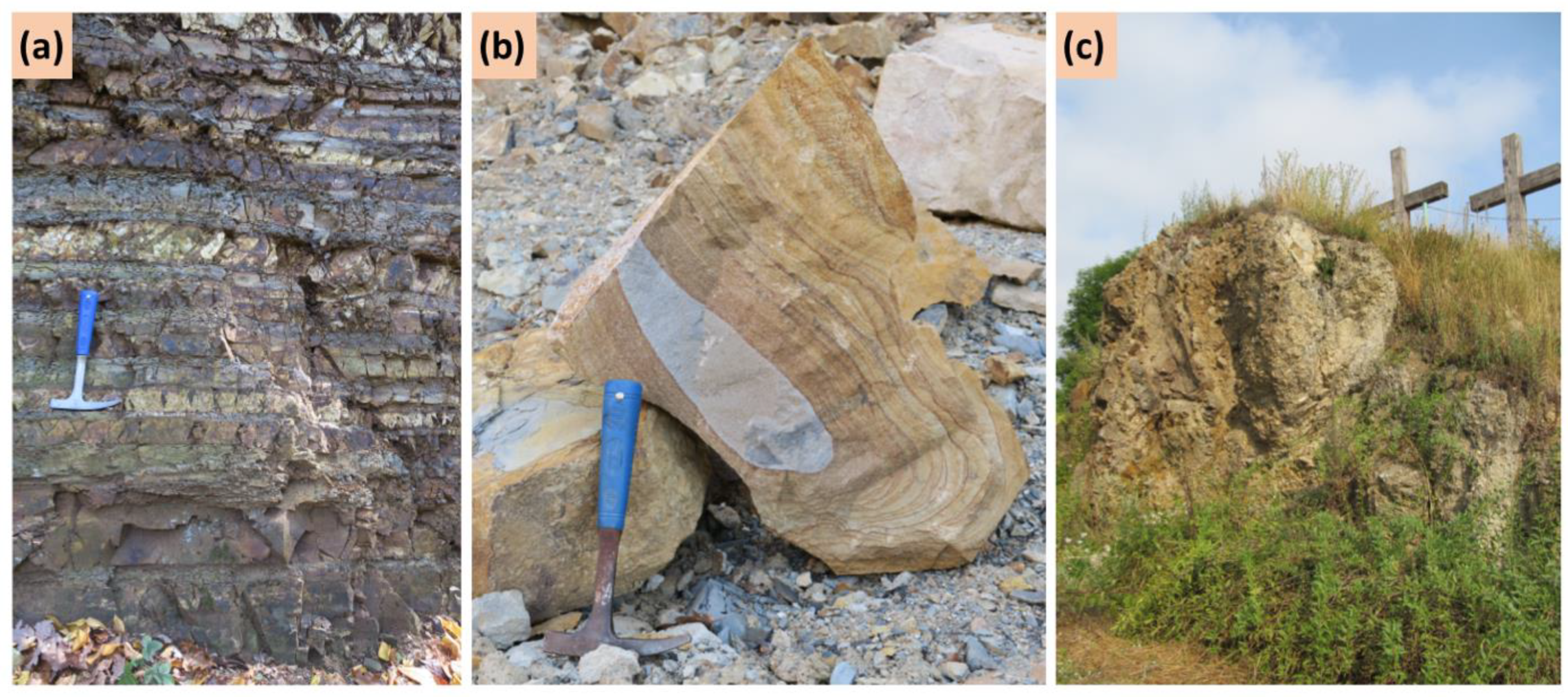 Sustainability 14 06043 g003 550