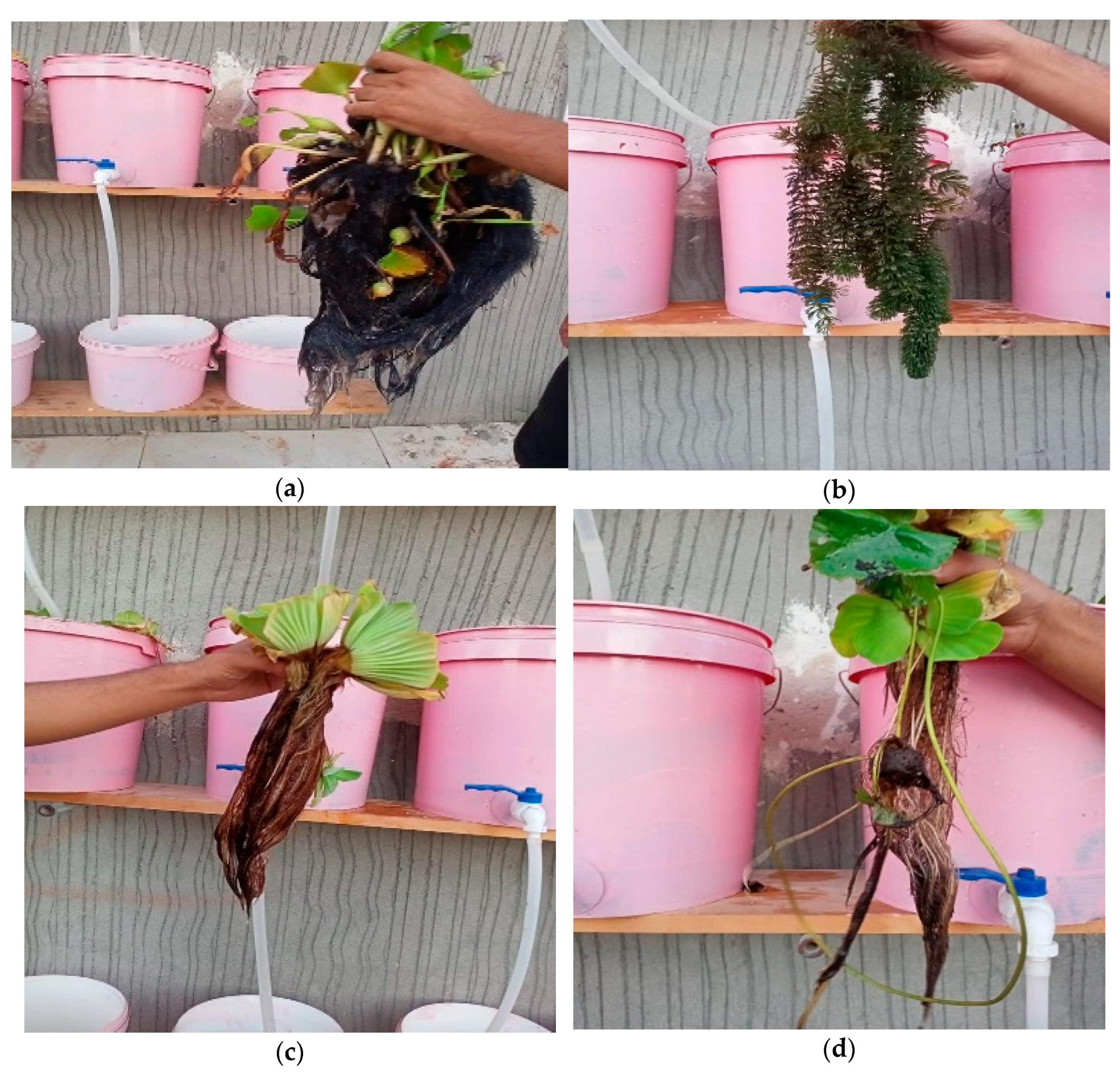 Sustainability 14 06101 g003 Sustainability 14 06101 g003