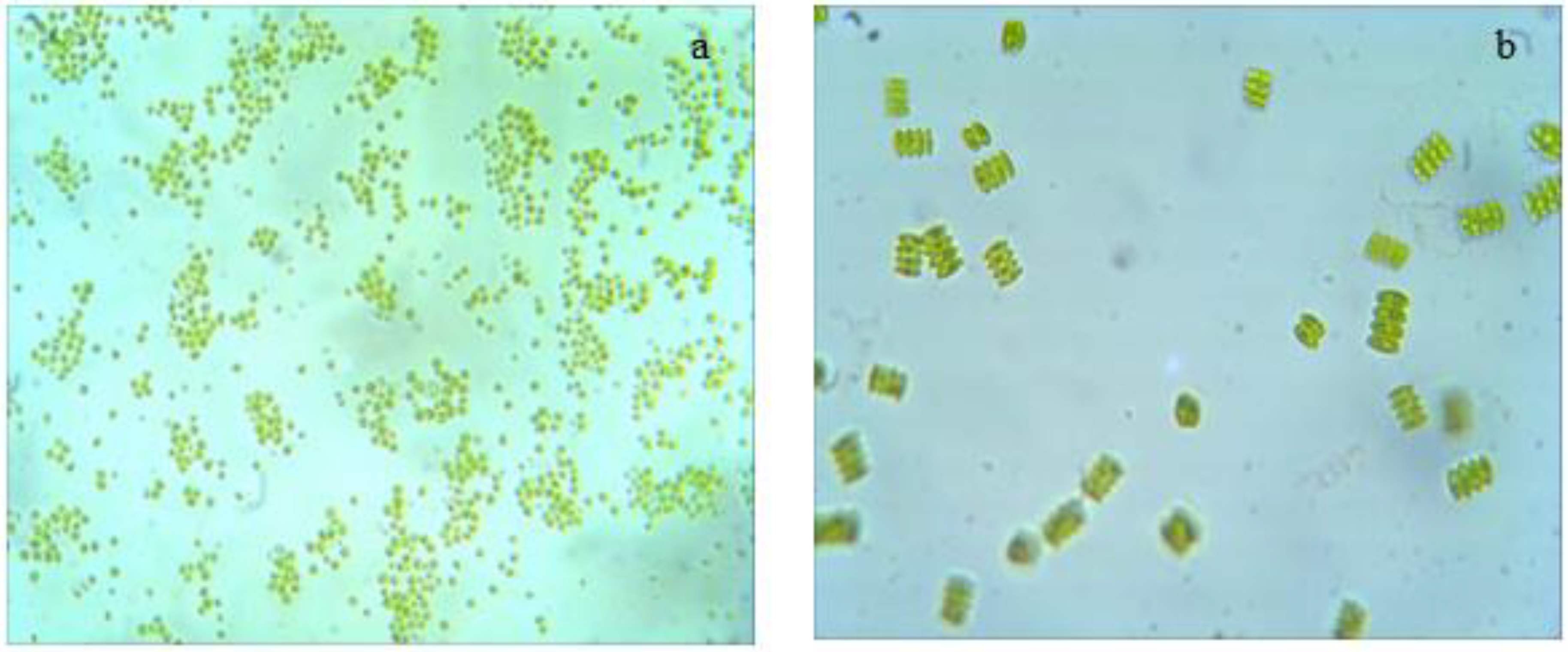 Sustainability 14 06108 g002 Sustainability 14 06108 g002