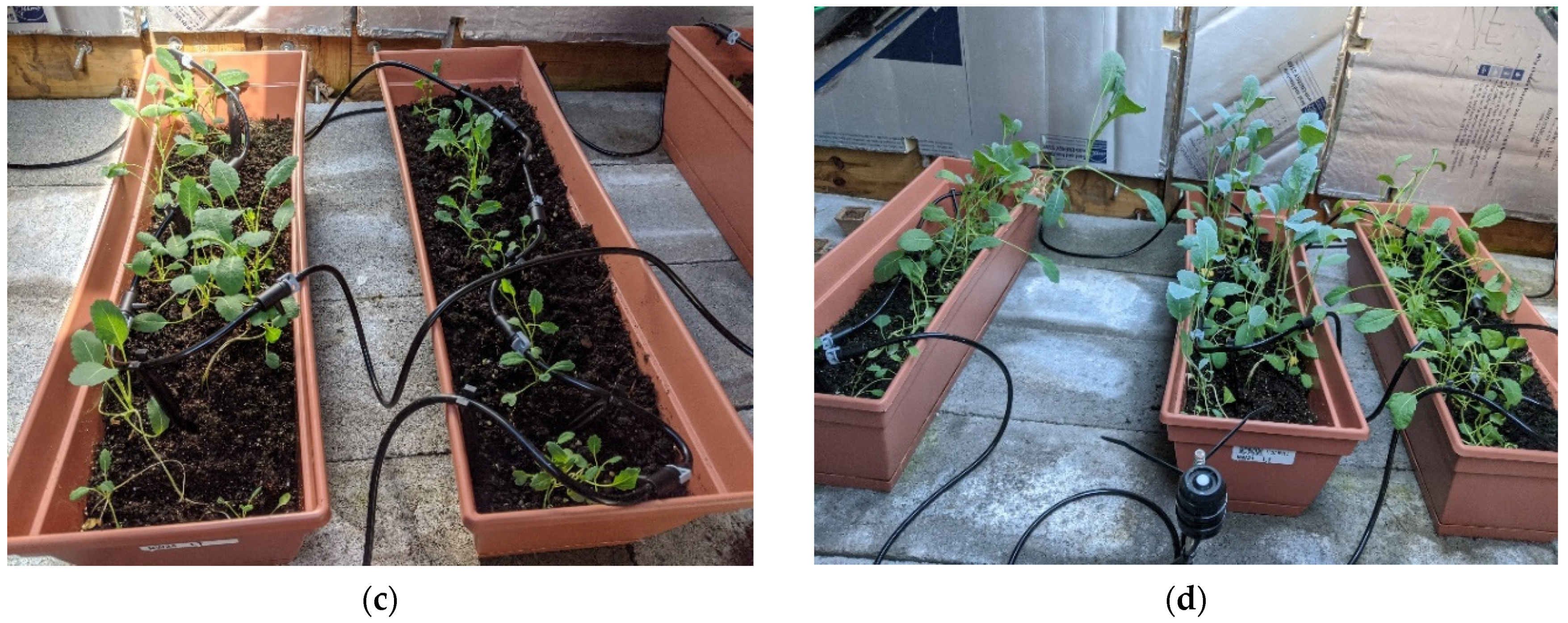 Sustainability 14 06154 g017b 550