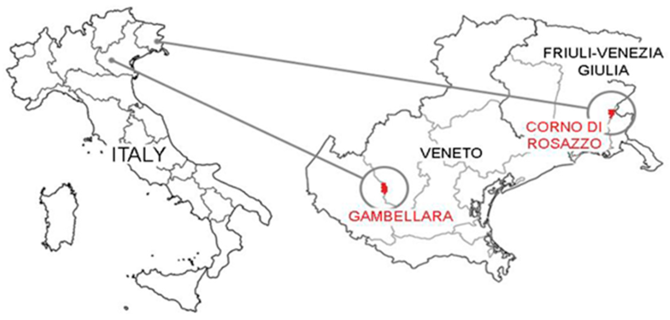 Sustainability 14 06281 g002