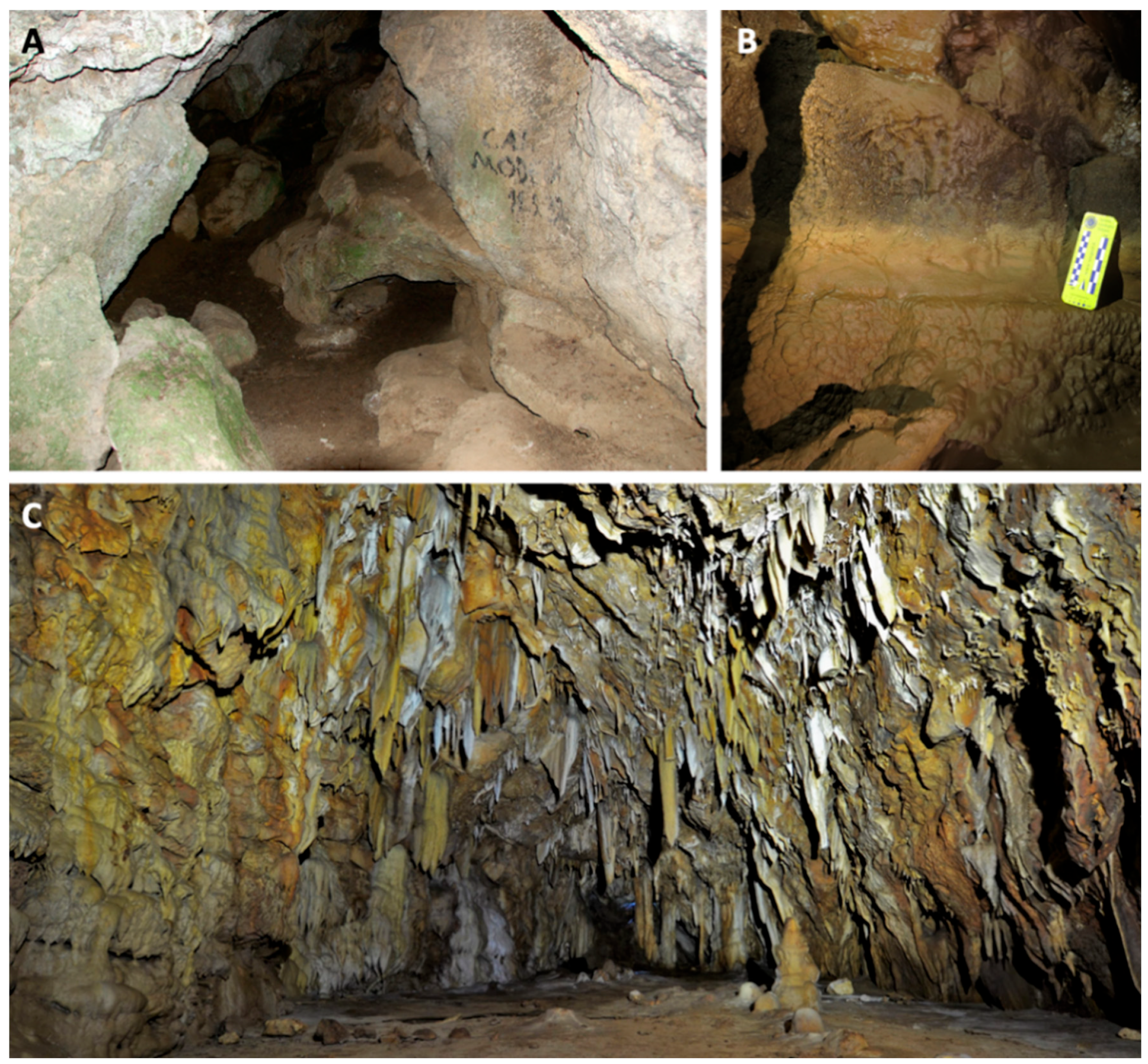 Sustainability 14 06305 g002