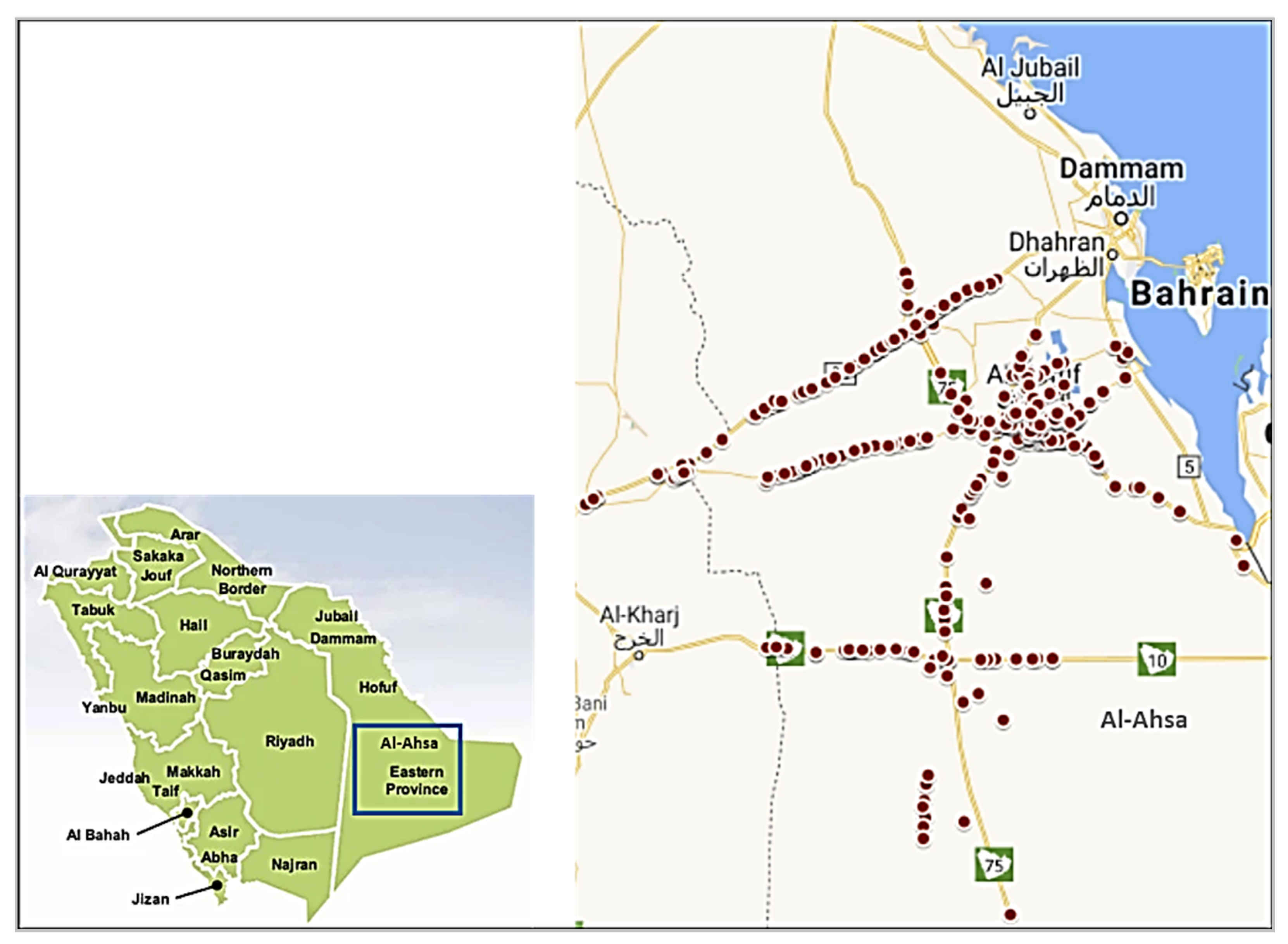 Sustainability Free FullText Towards Sustainable Road Safety in