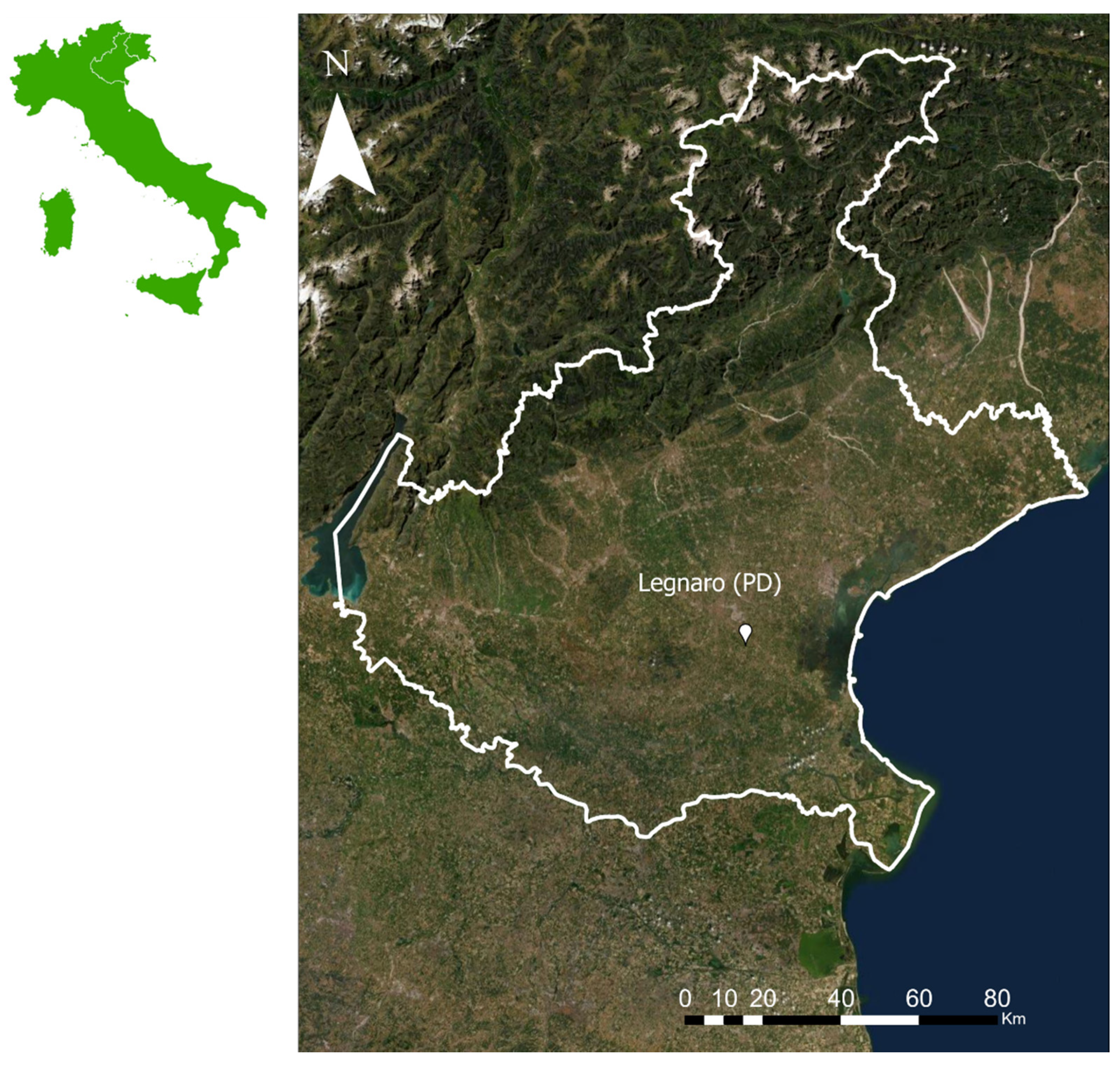 Sustainability 14 06324 g001 550