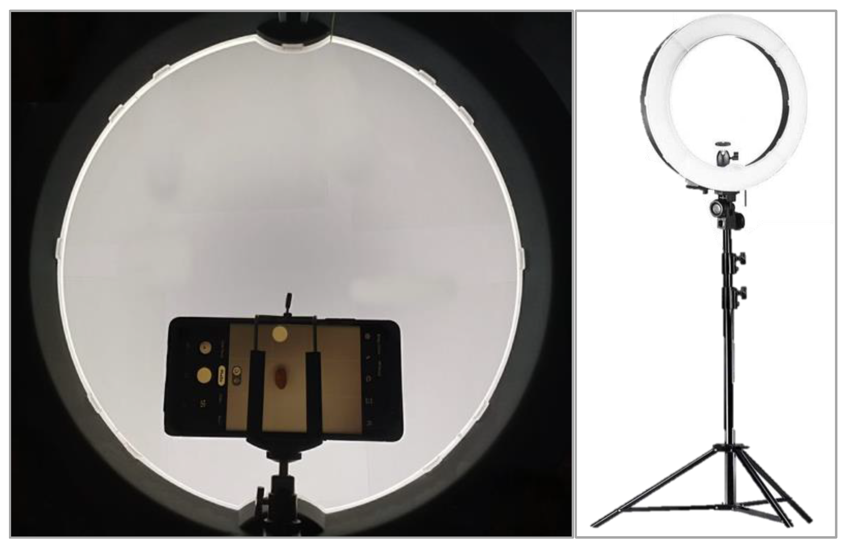 Sustainability 14 06339 g002