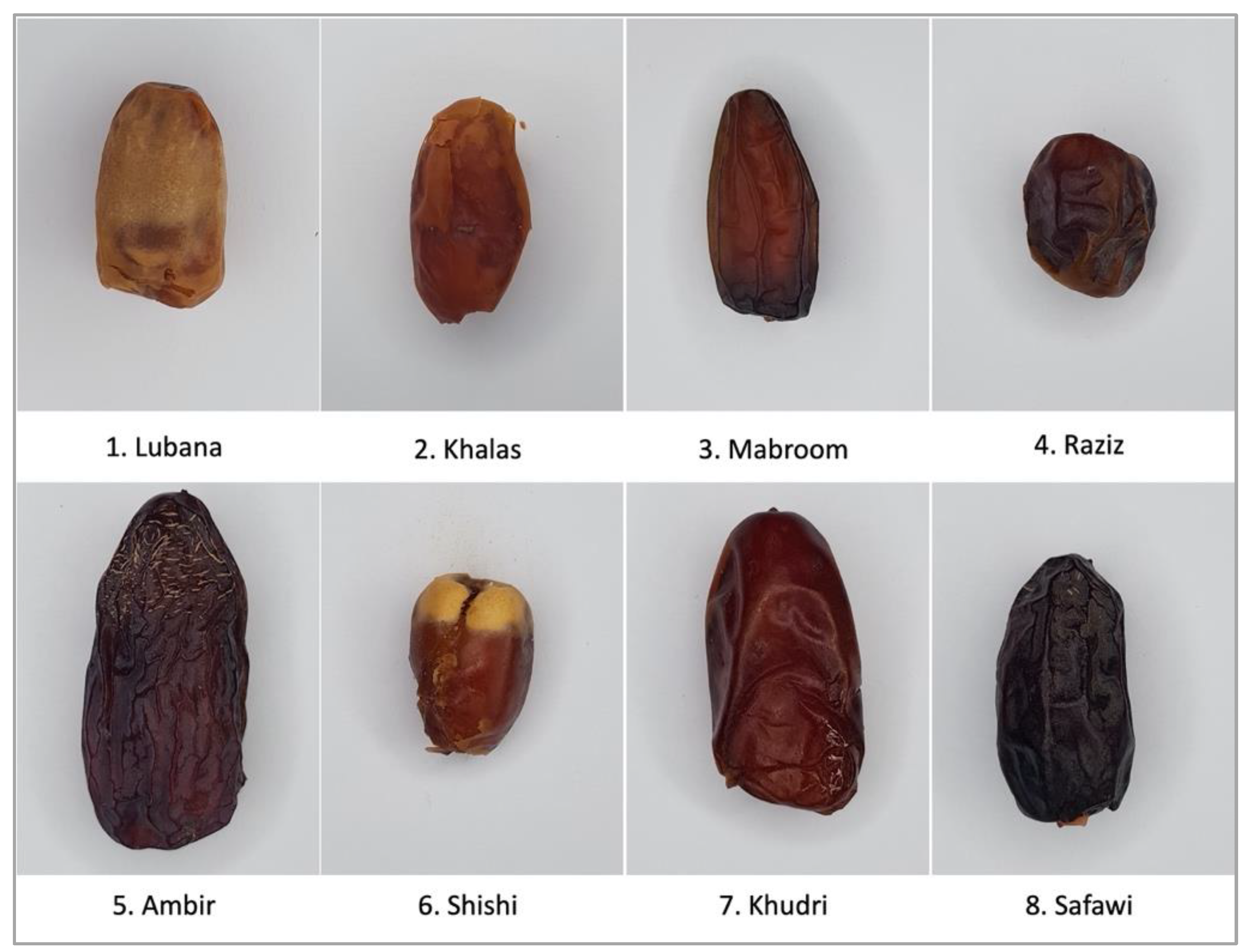 Sustainability Free FullText A Deep LearningBased Model for Date
