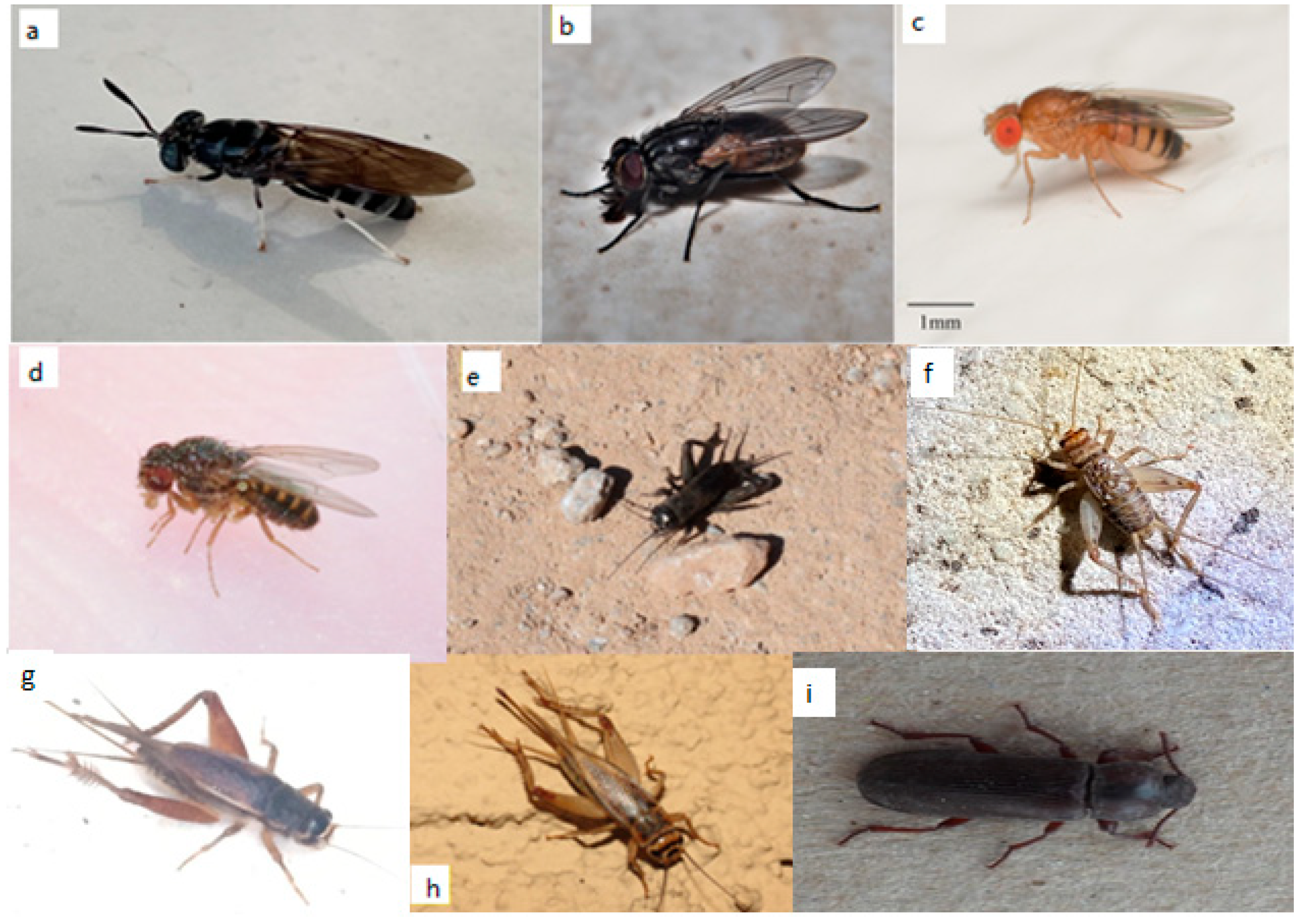 Sustainability 14 06361 g0a1 Sustainability 14 06361 g0a1