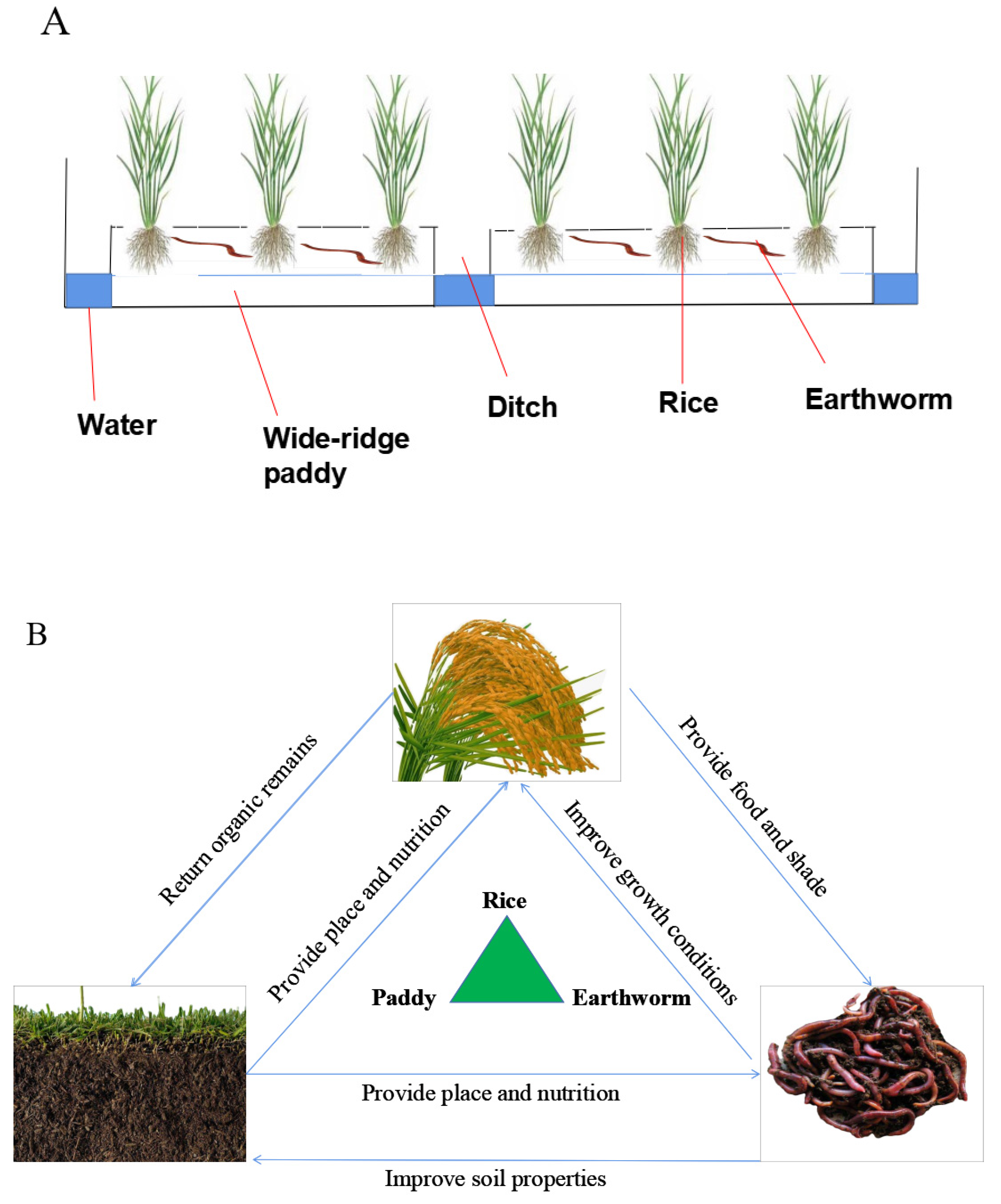 Sustainability 14 06448 g001 Sustainability 14 06448 g001