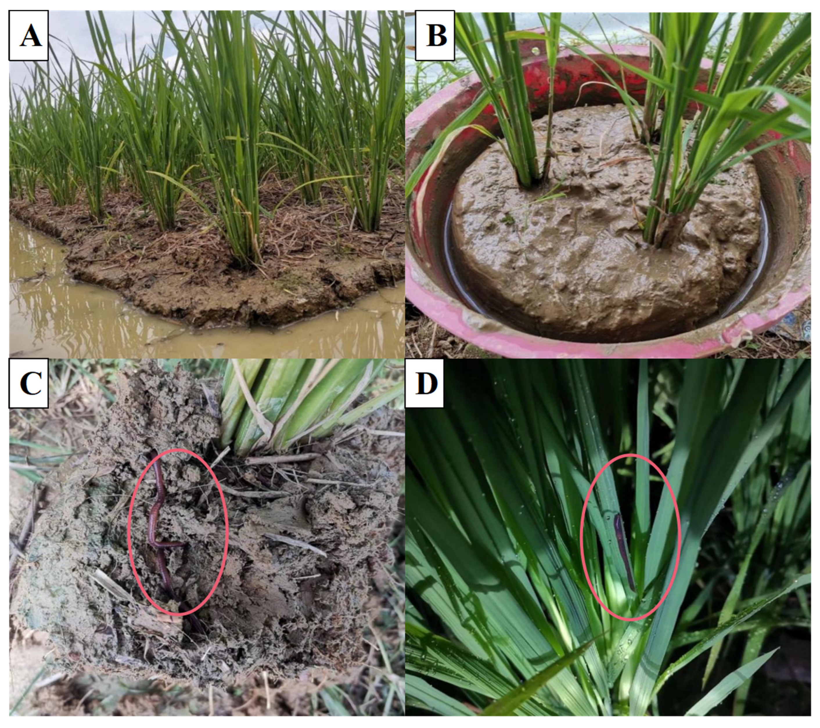 Sustainability 14 06448 g003 Sustainability 14 06448 g003