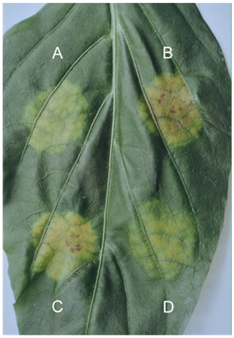 Sustainability 14 06458 g005