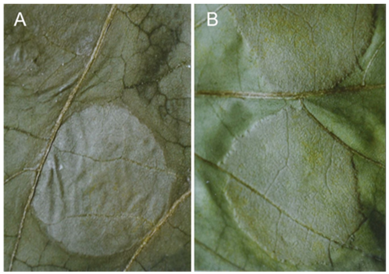 Sustainability 14 06458 g006