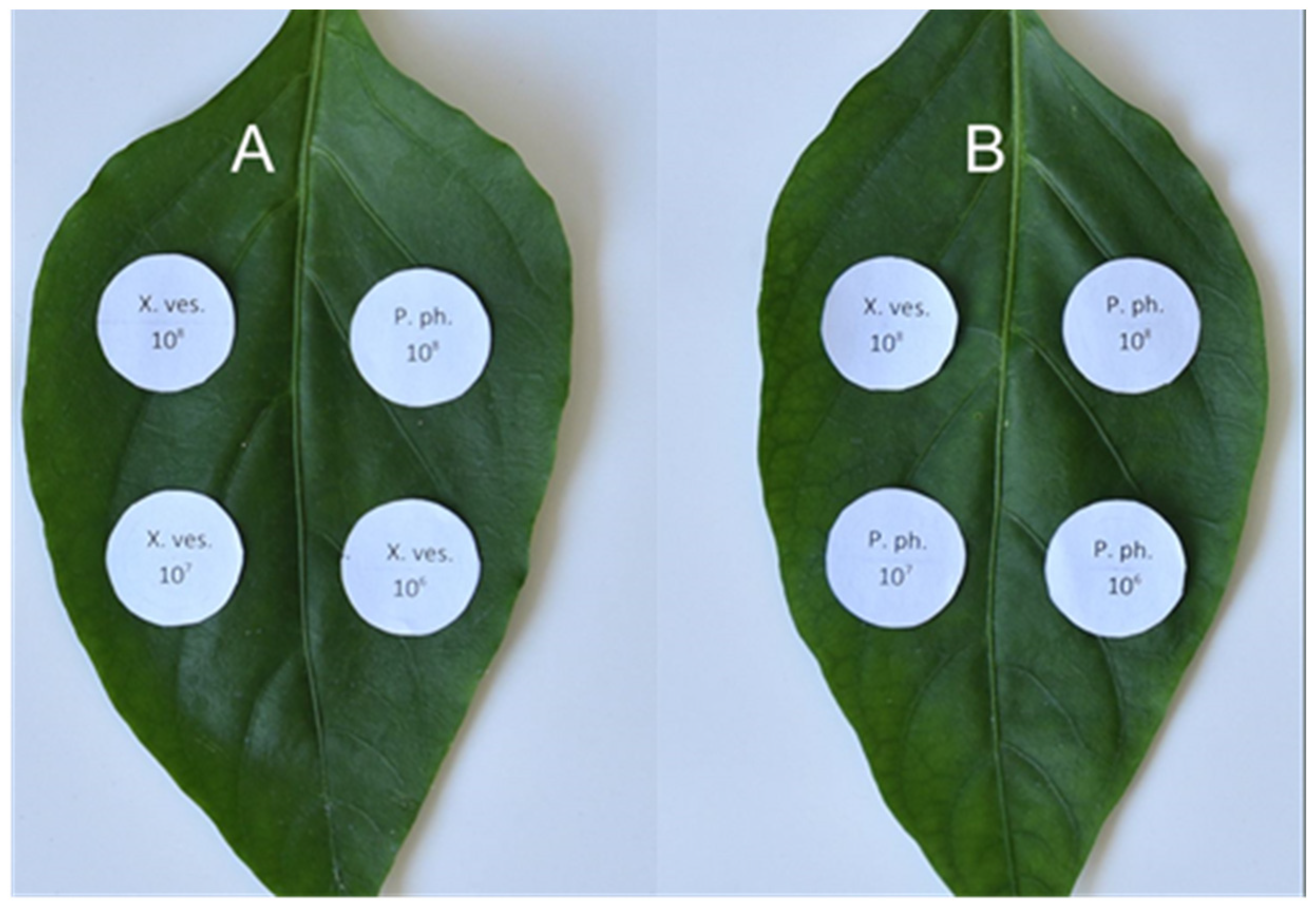 Sustainability 14 06458 g008