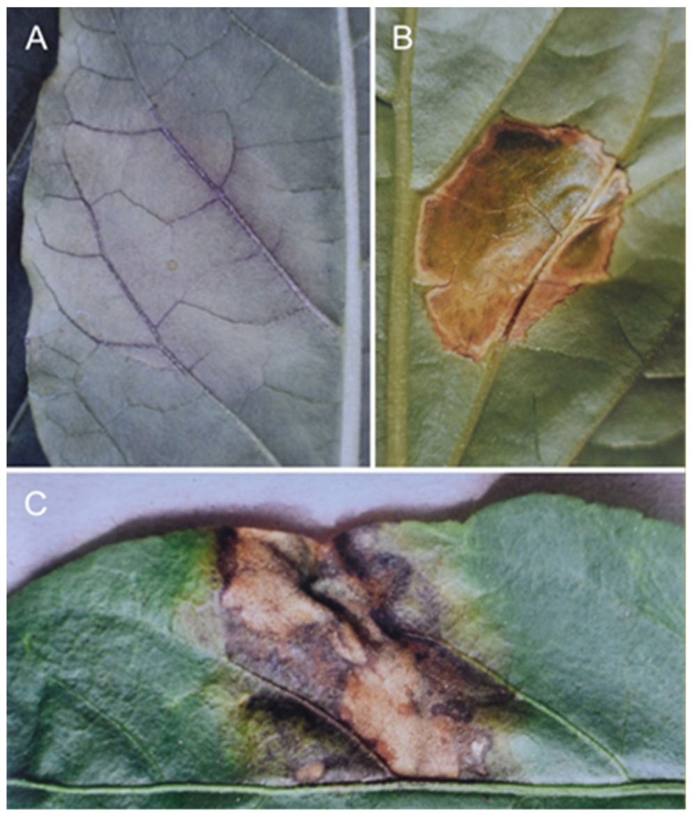 Sustainability 14 06458 g015