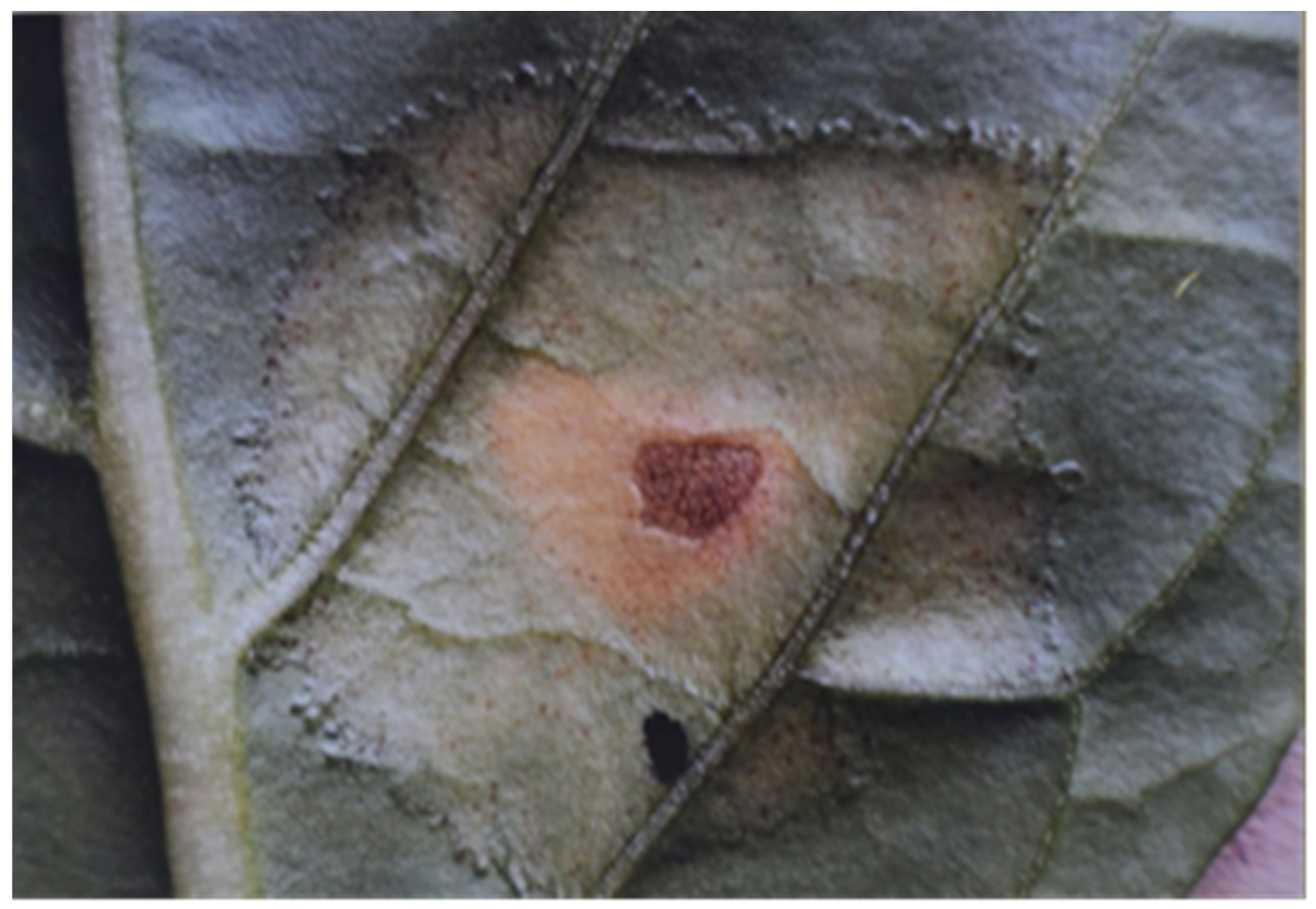 Sustainability 14 06458 g018