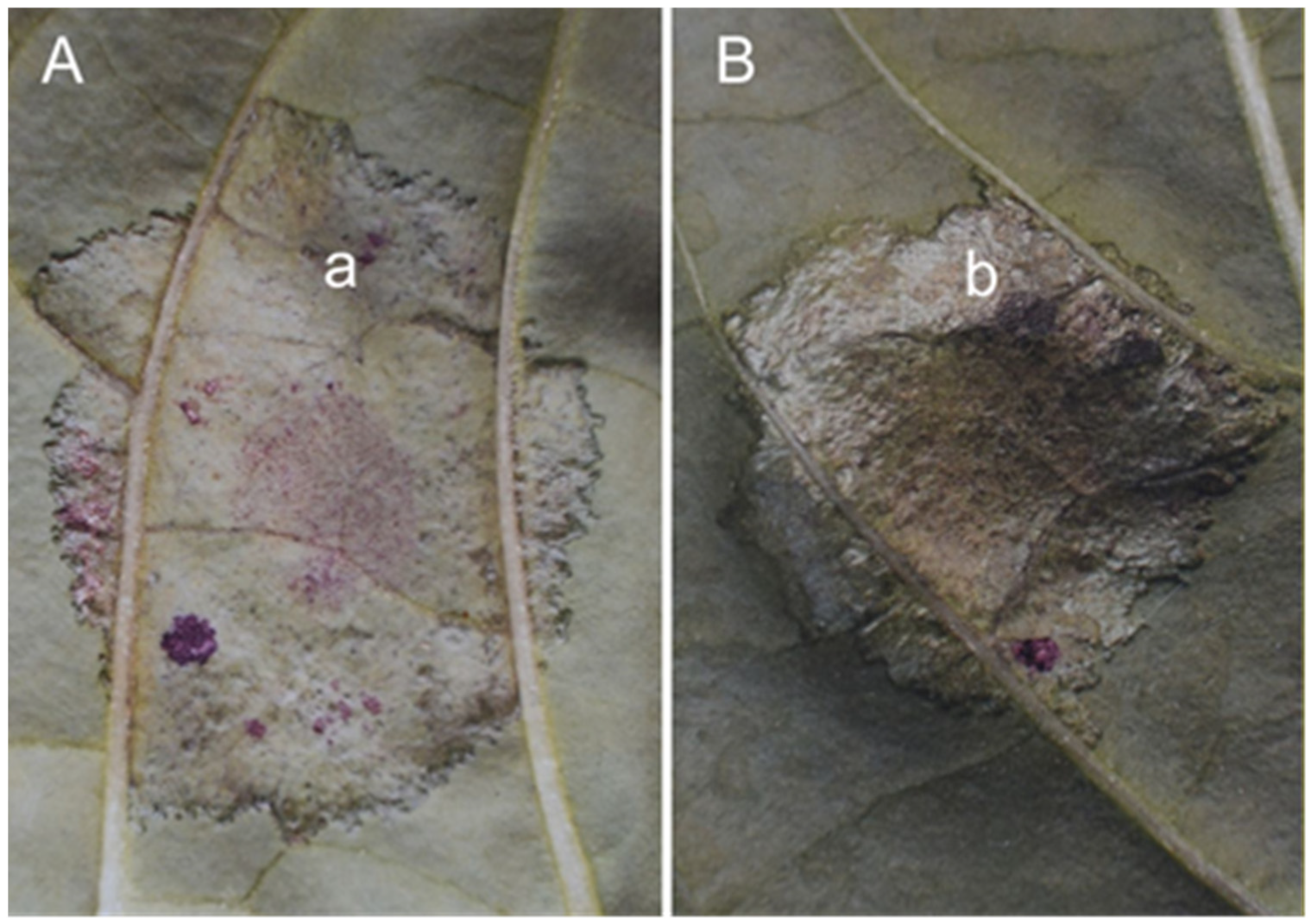 Sustainability 14 06458 g019