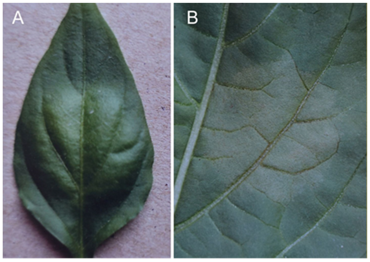 Sustainability 14 06458 g020