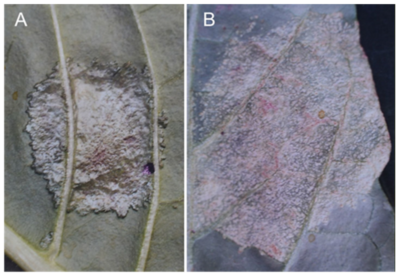 Sustainability 14 06458 g022