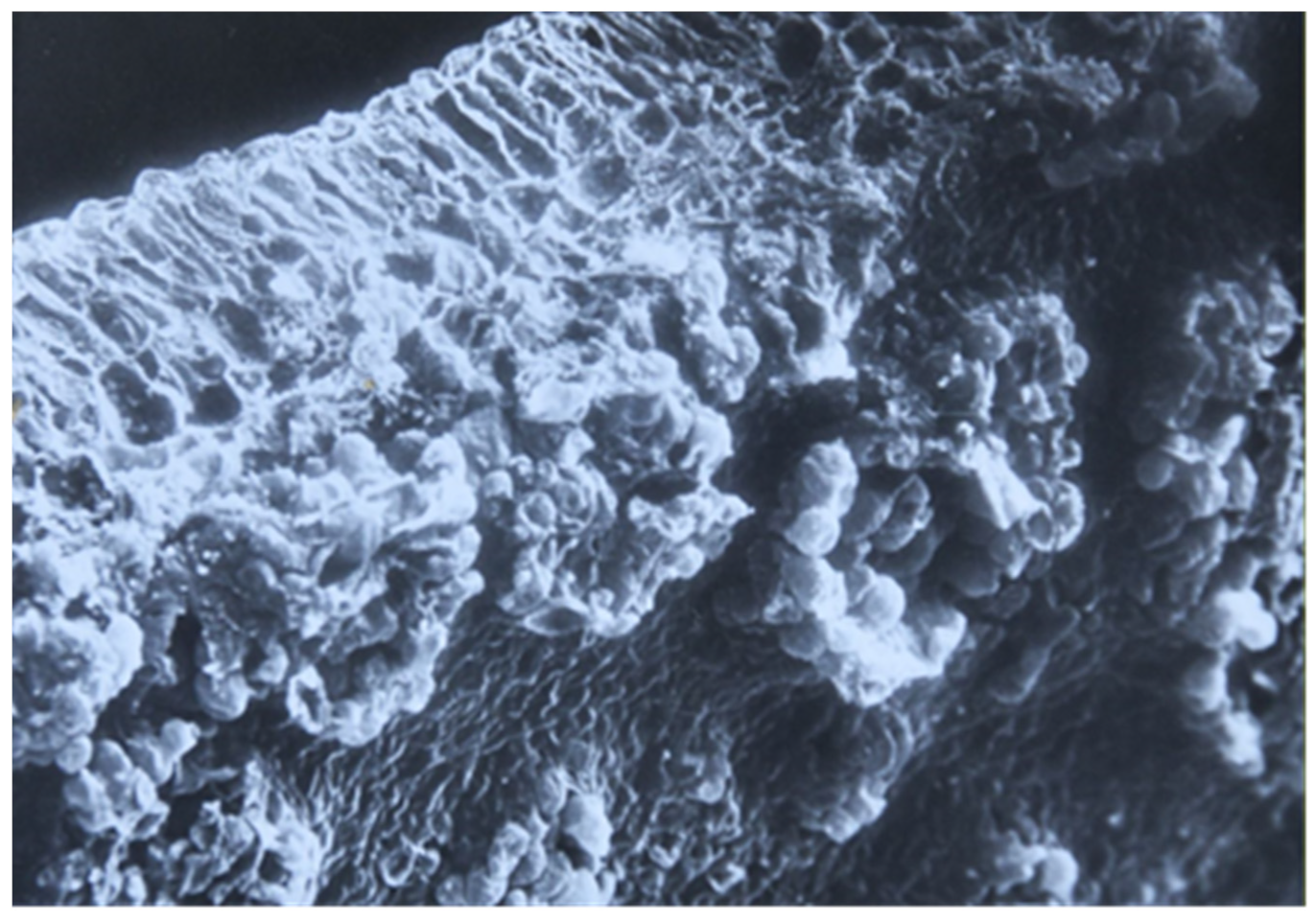 Sustainability 14 06458 g023