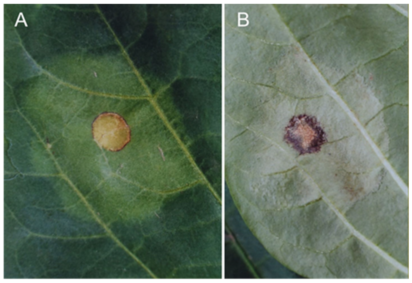 Sustainability 14 06458 g025