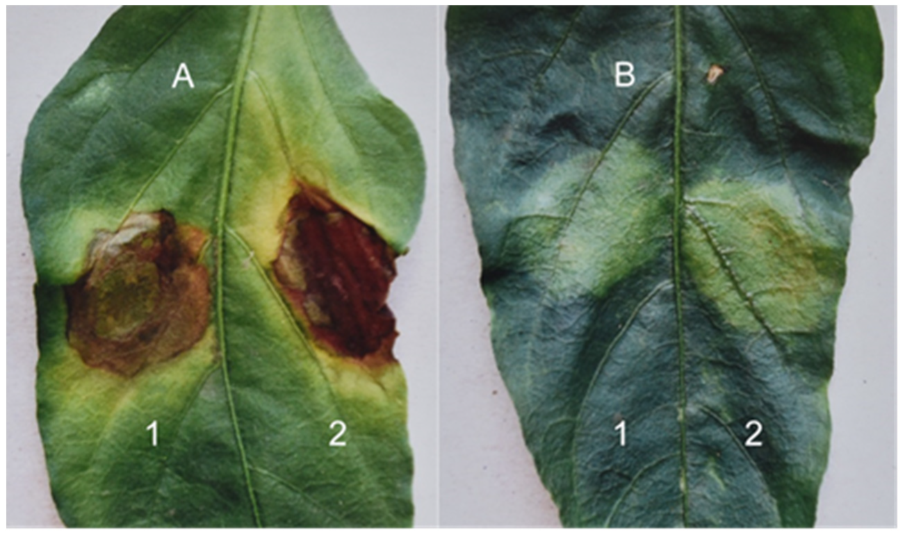 Sustainability 14 06458 g026
