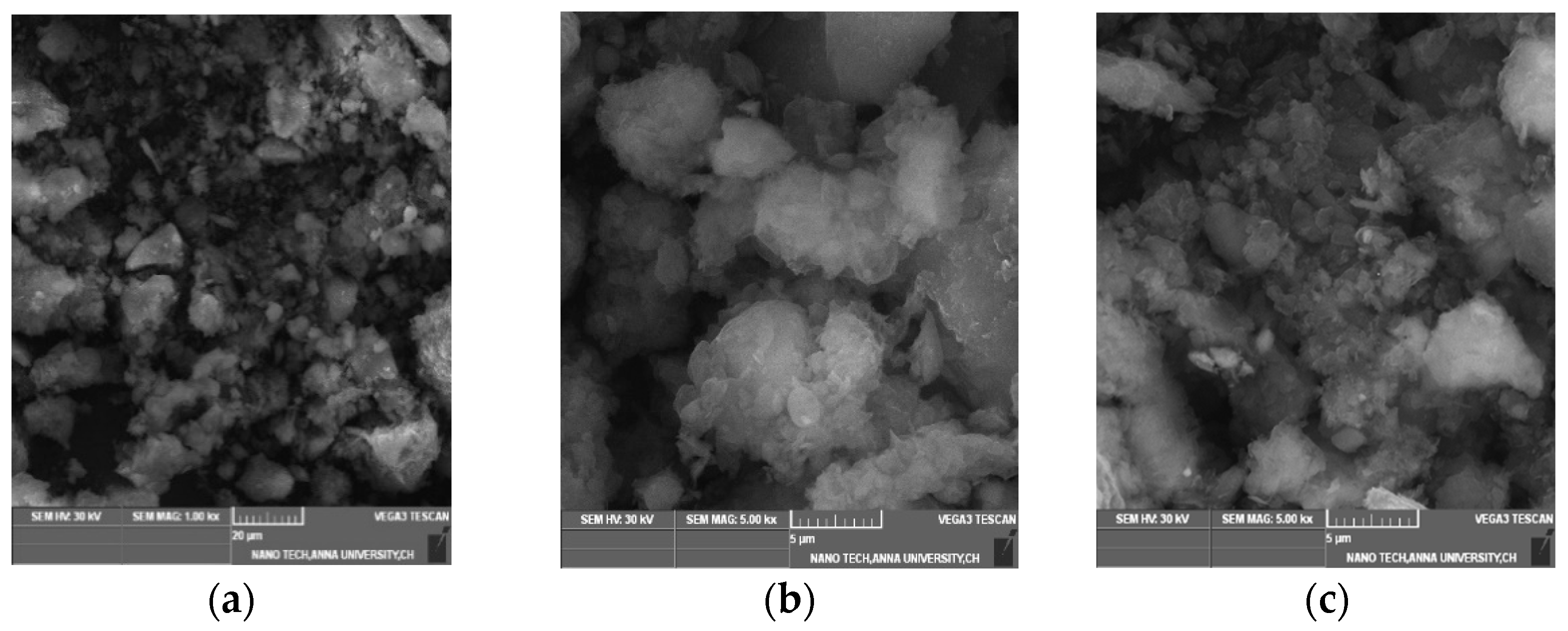 Sustainability 14 06481 g005