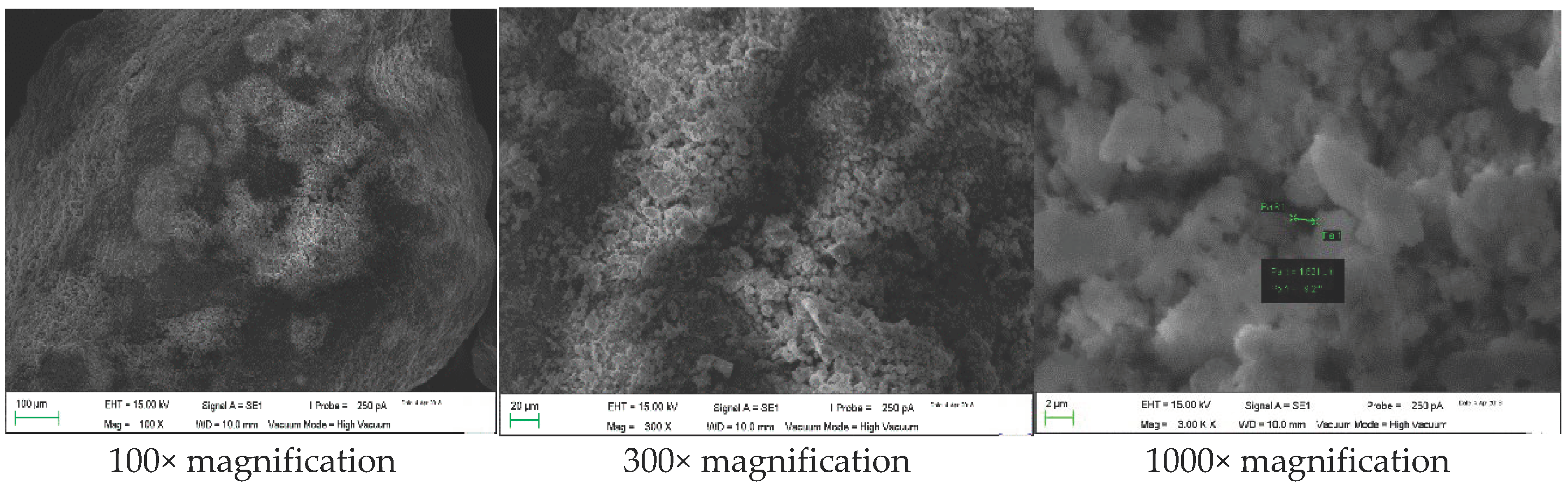 Sustainability 14 06484 g003