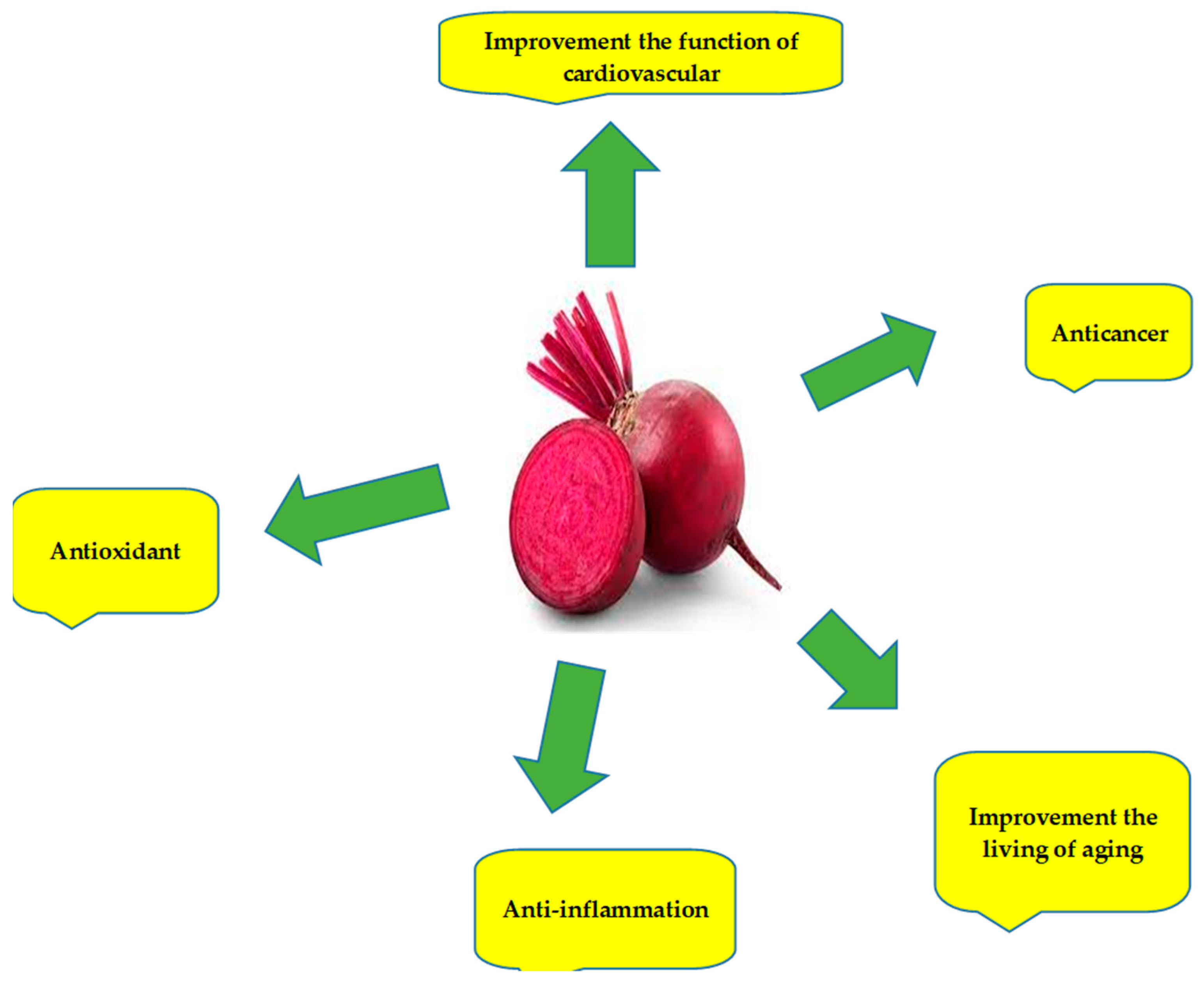 Sustainability Free Full-Text A Brief Overview of the Effects of Exercise and Red Beets on the Immune System in Patients with Prostate Cancer