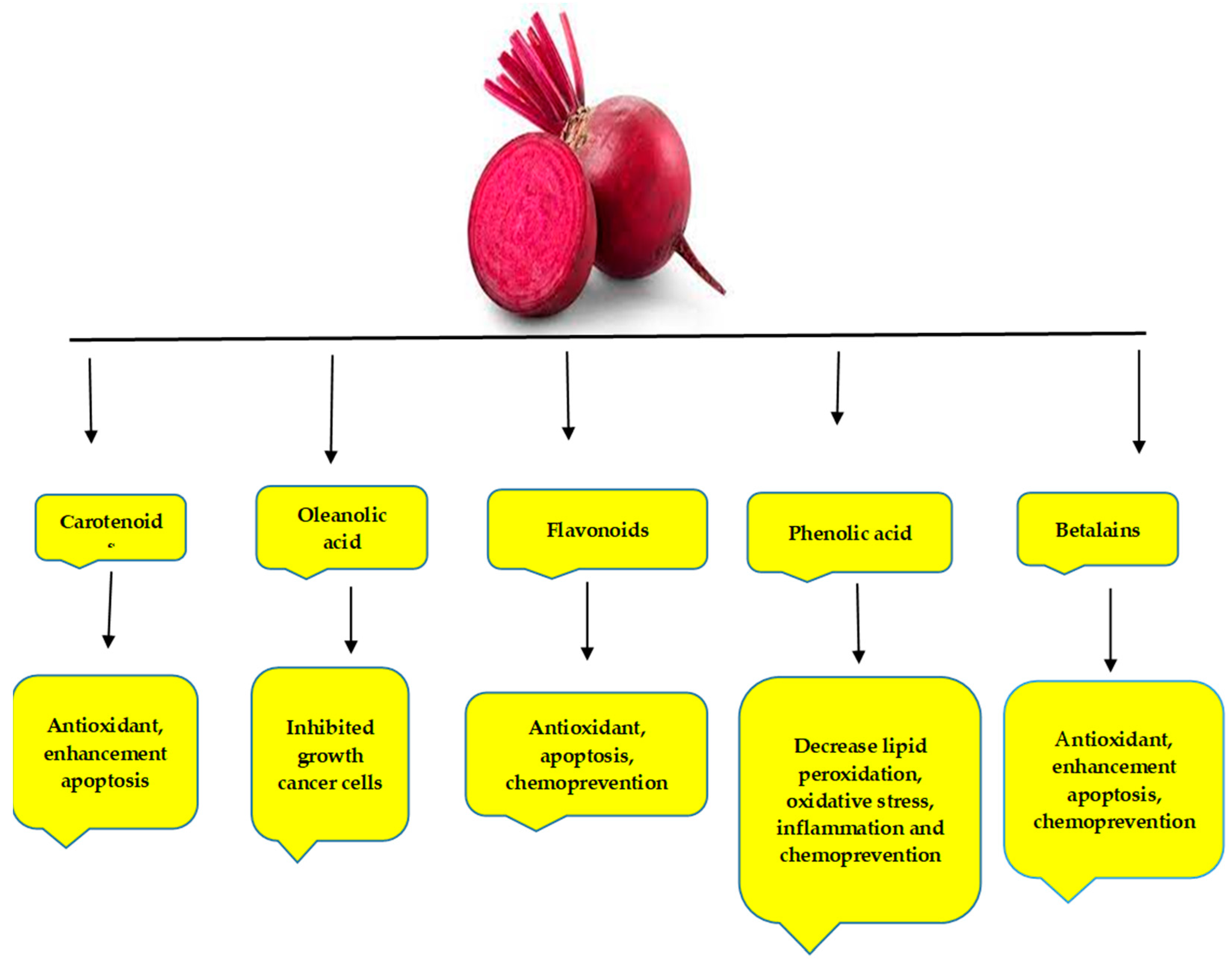 Sustainability Free FullText A Brief Overview of the Effects of