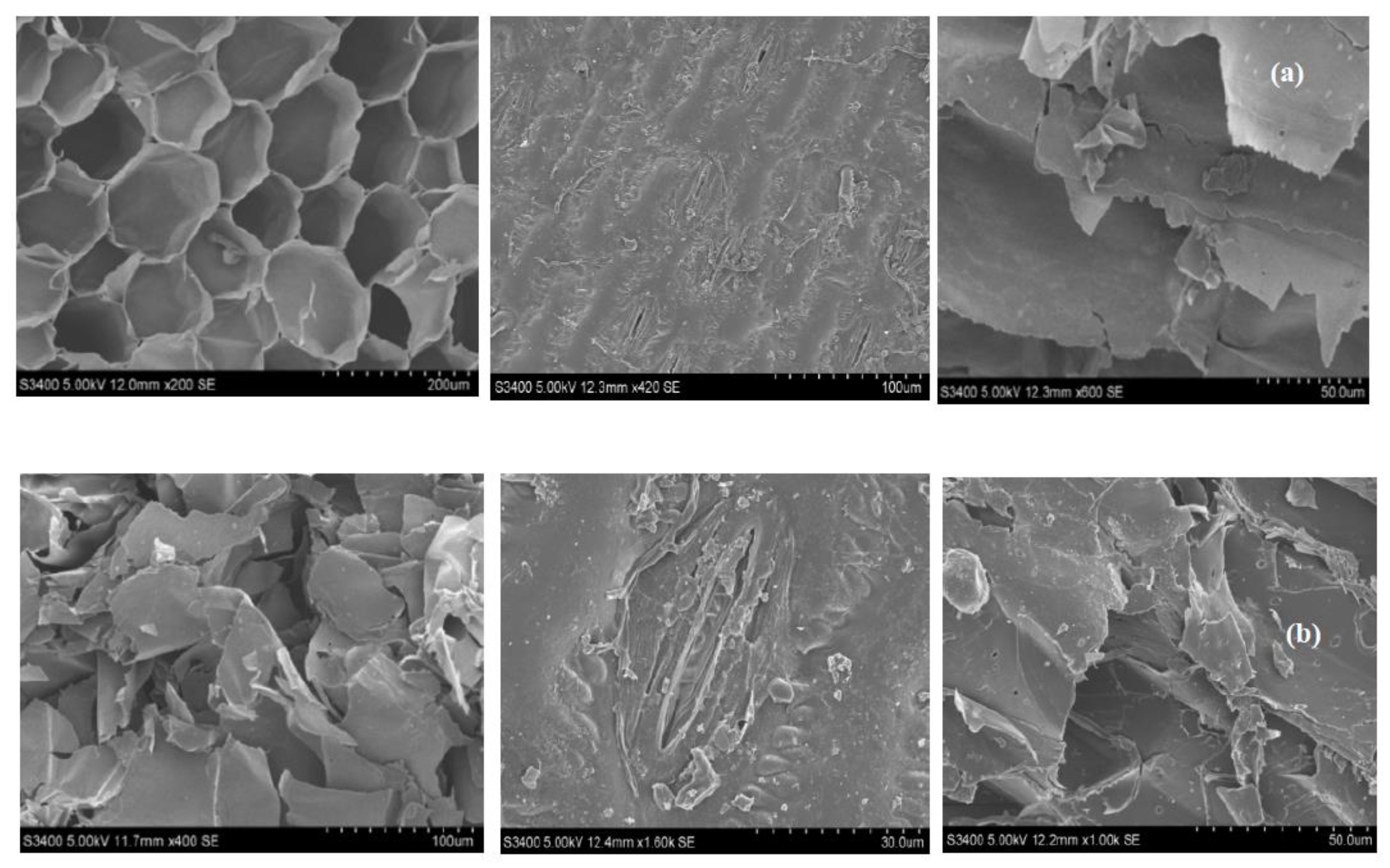 Sustainability 14 06497 g001