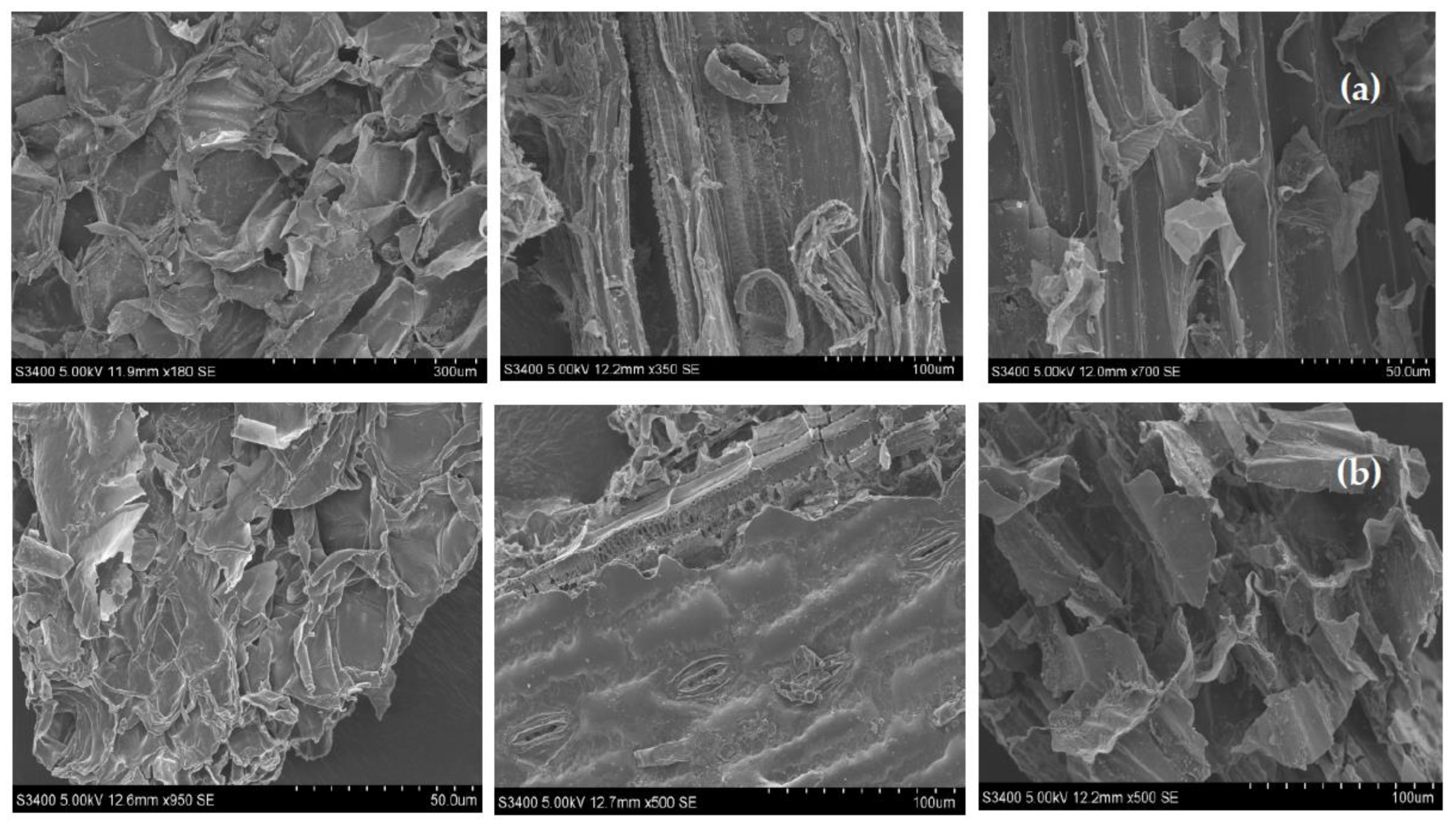 Sustainability 14 06497 g0a3