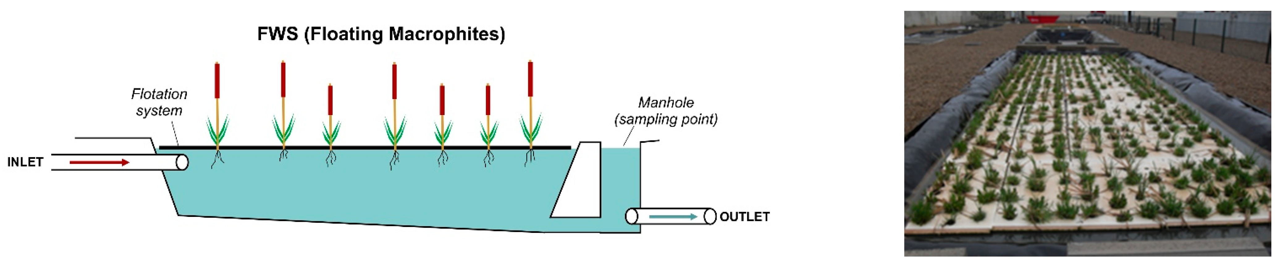 Sustainability 14 06511 g002 550