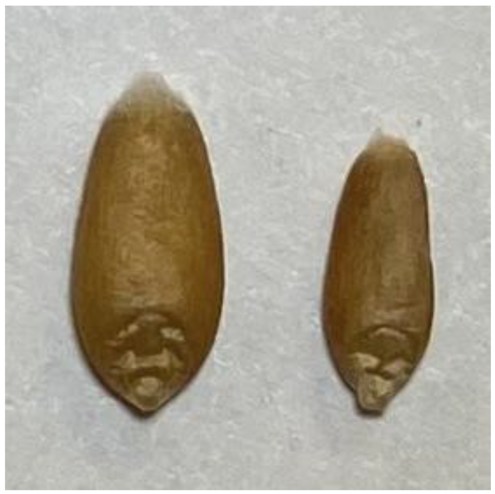 Sustainability 14 06546 g001 550