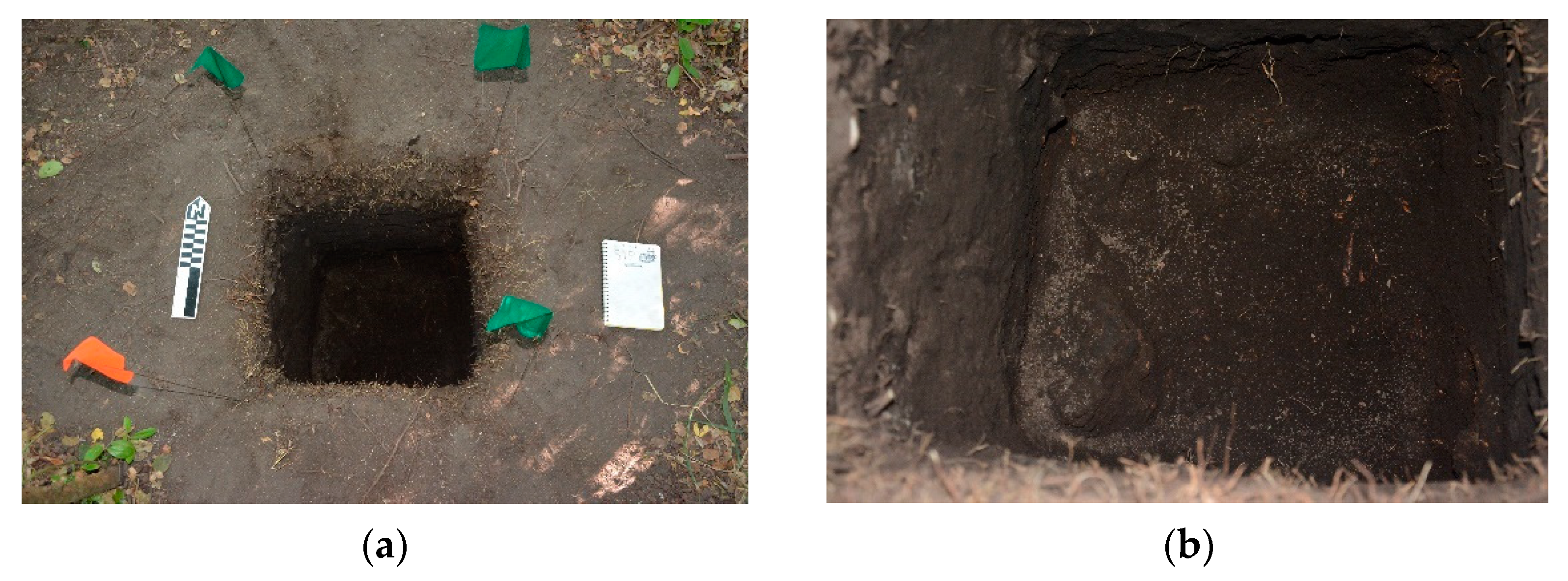 Sustainability 14 06552 g004 Sustainability 14 06552 g004