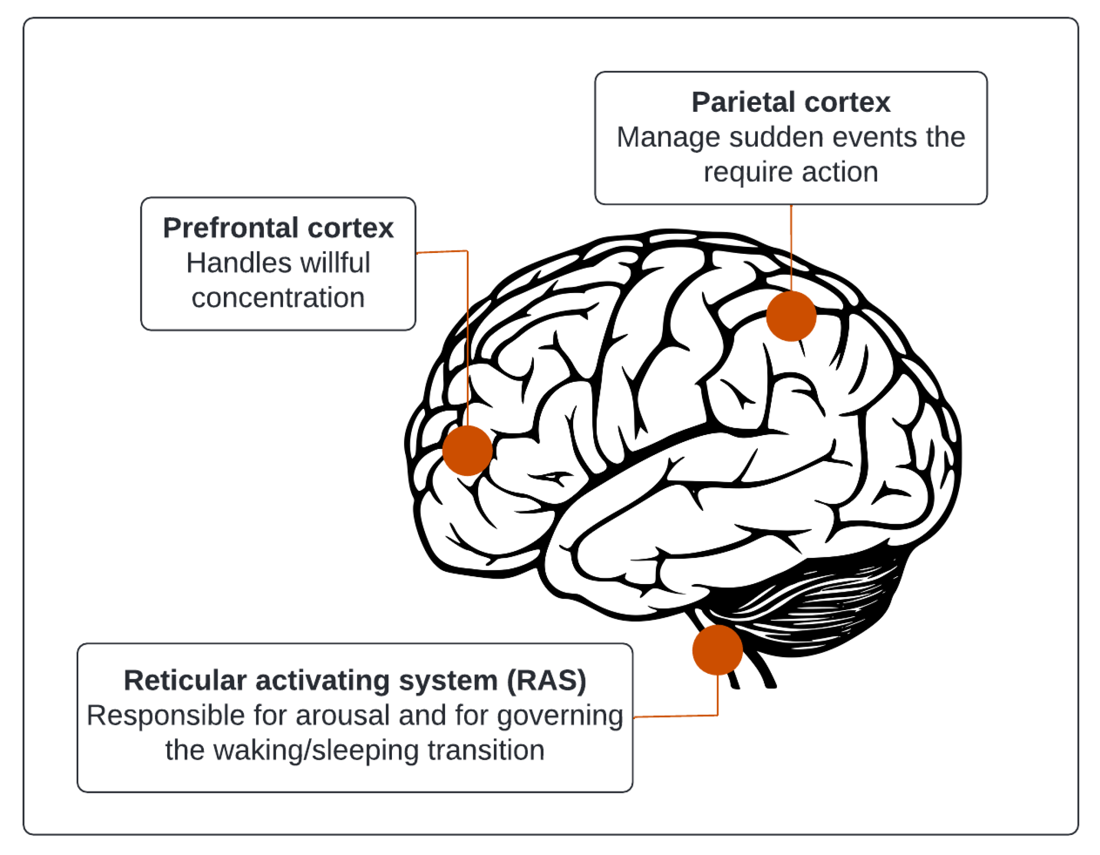Sustainability 14 06553 g001