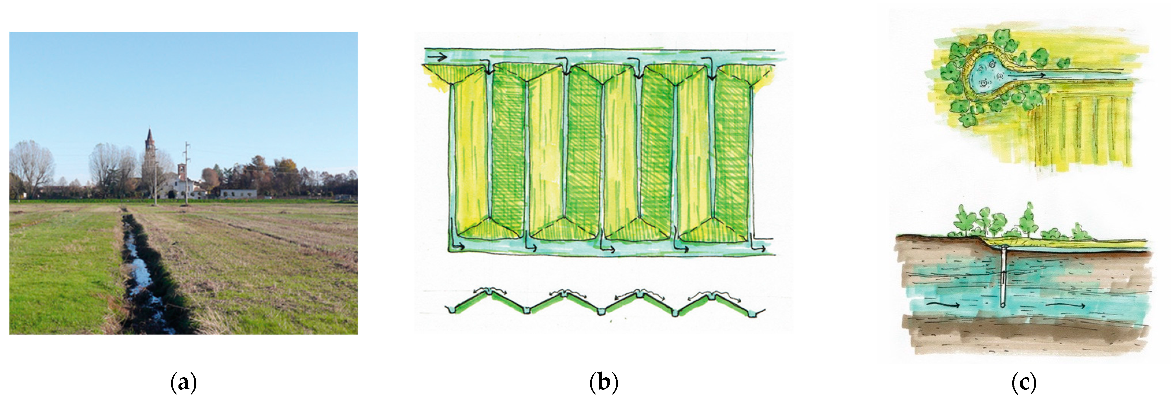 Sustainability 14 06581 g010 550
