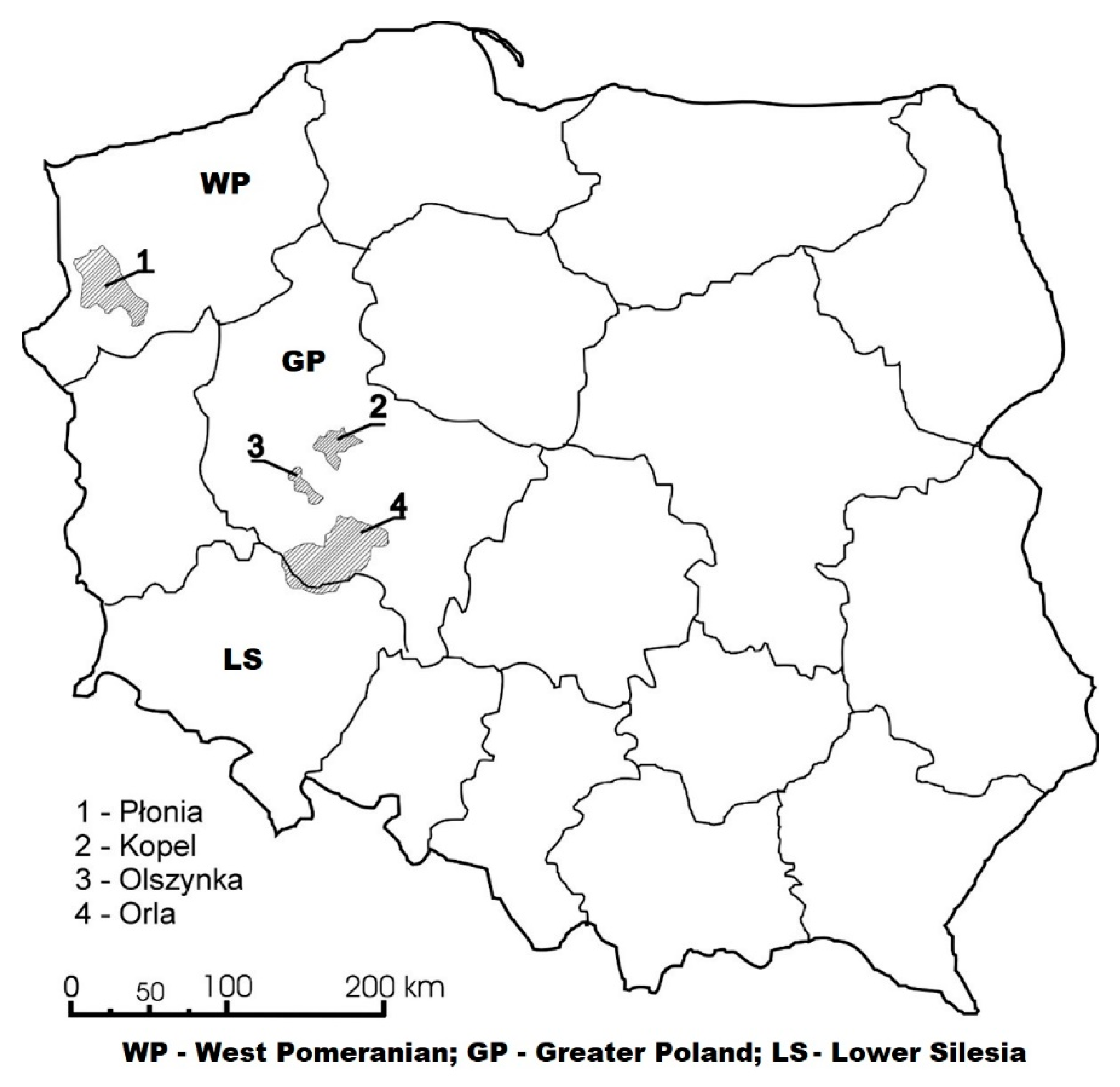 Sustainability 14 06585 g001 Sustainability 14 06585 g001