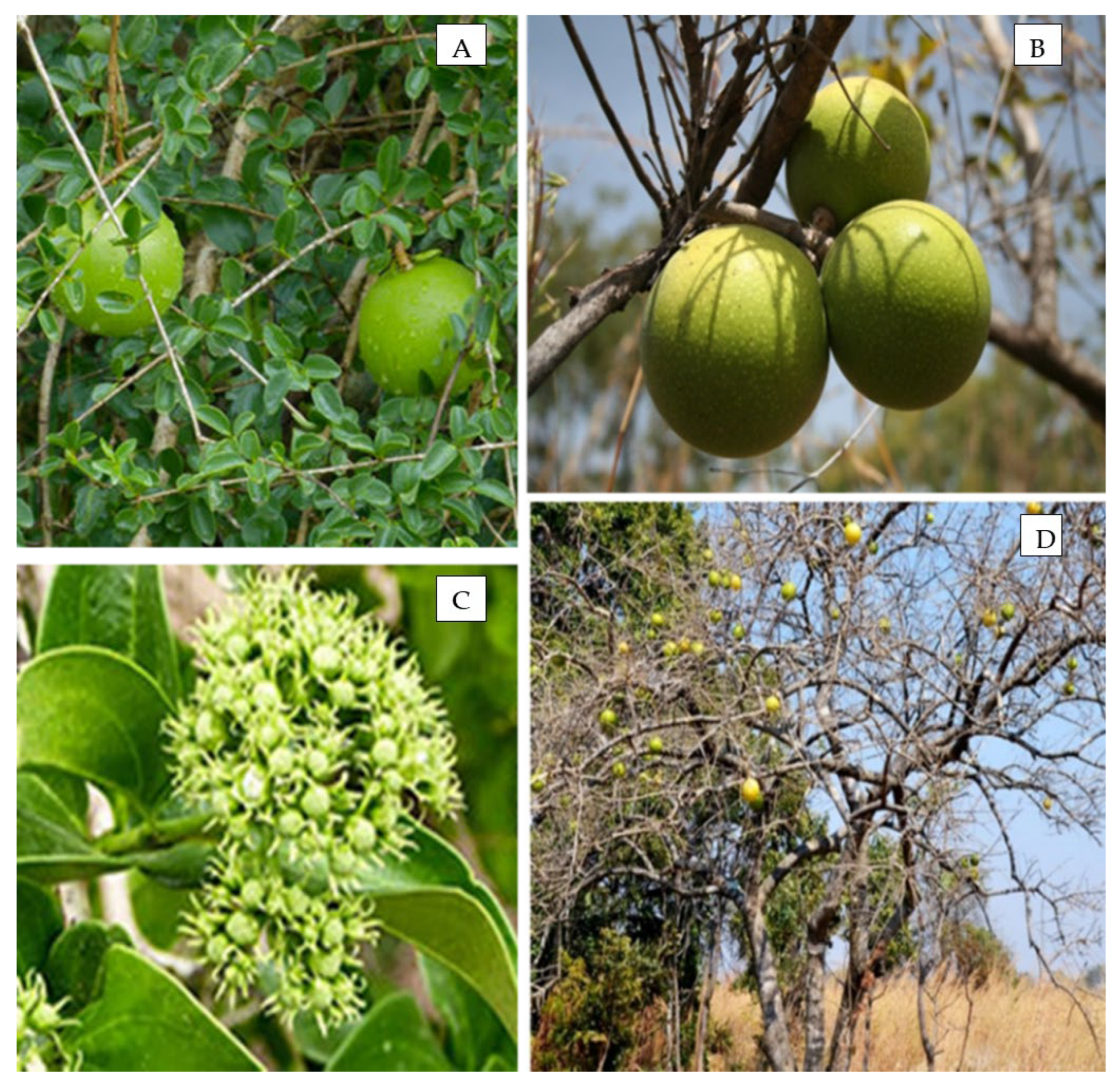 Sustainability 14 06623 g001 550