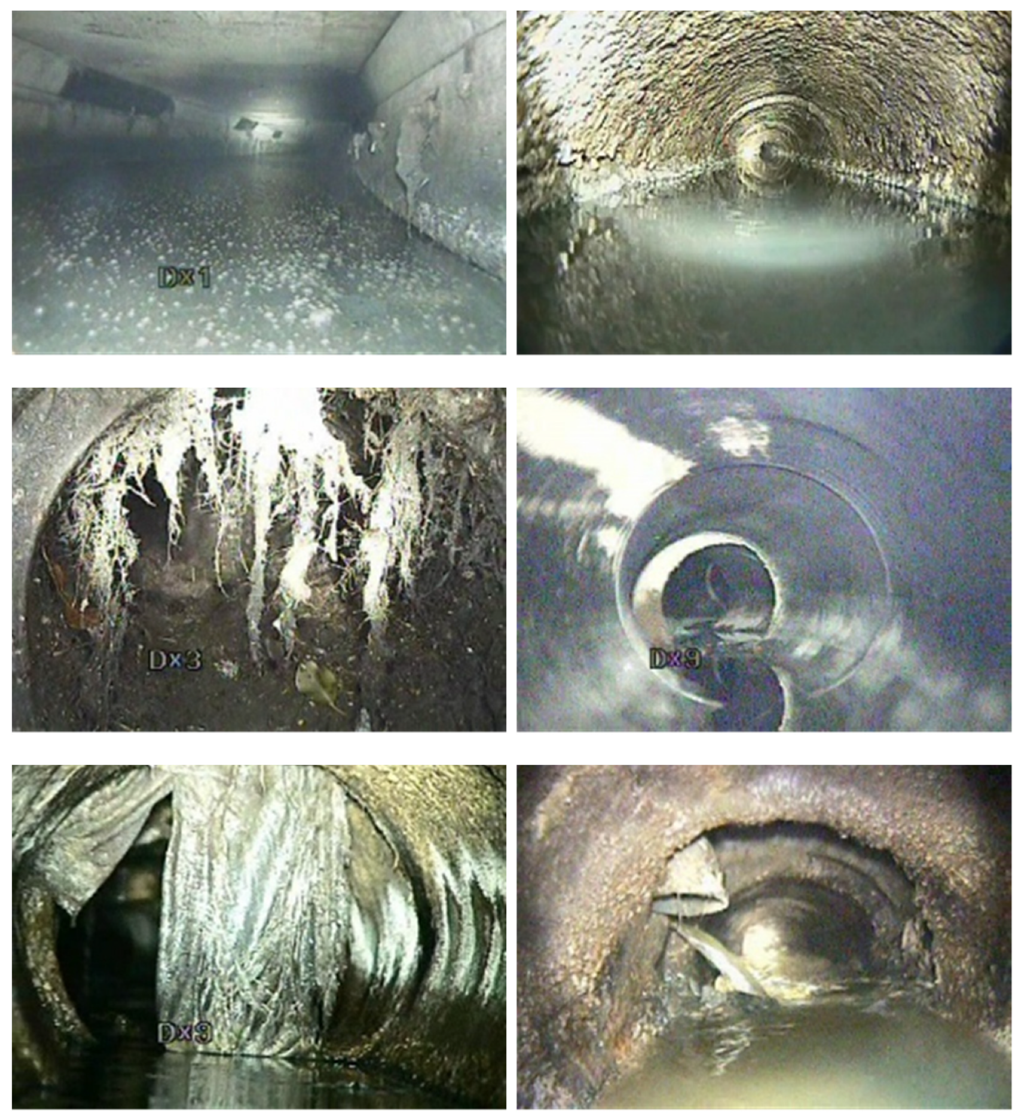 Sustainability 14 06634 g004b