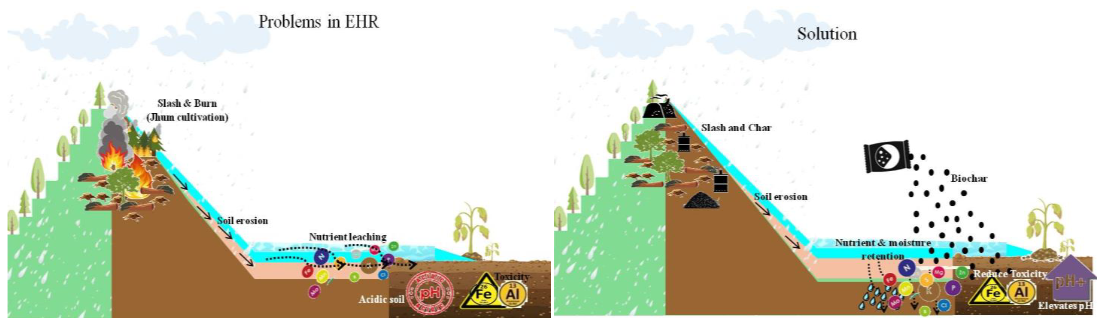 Sustainability 14 06684 g003