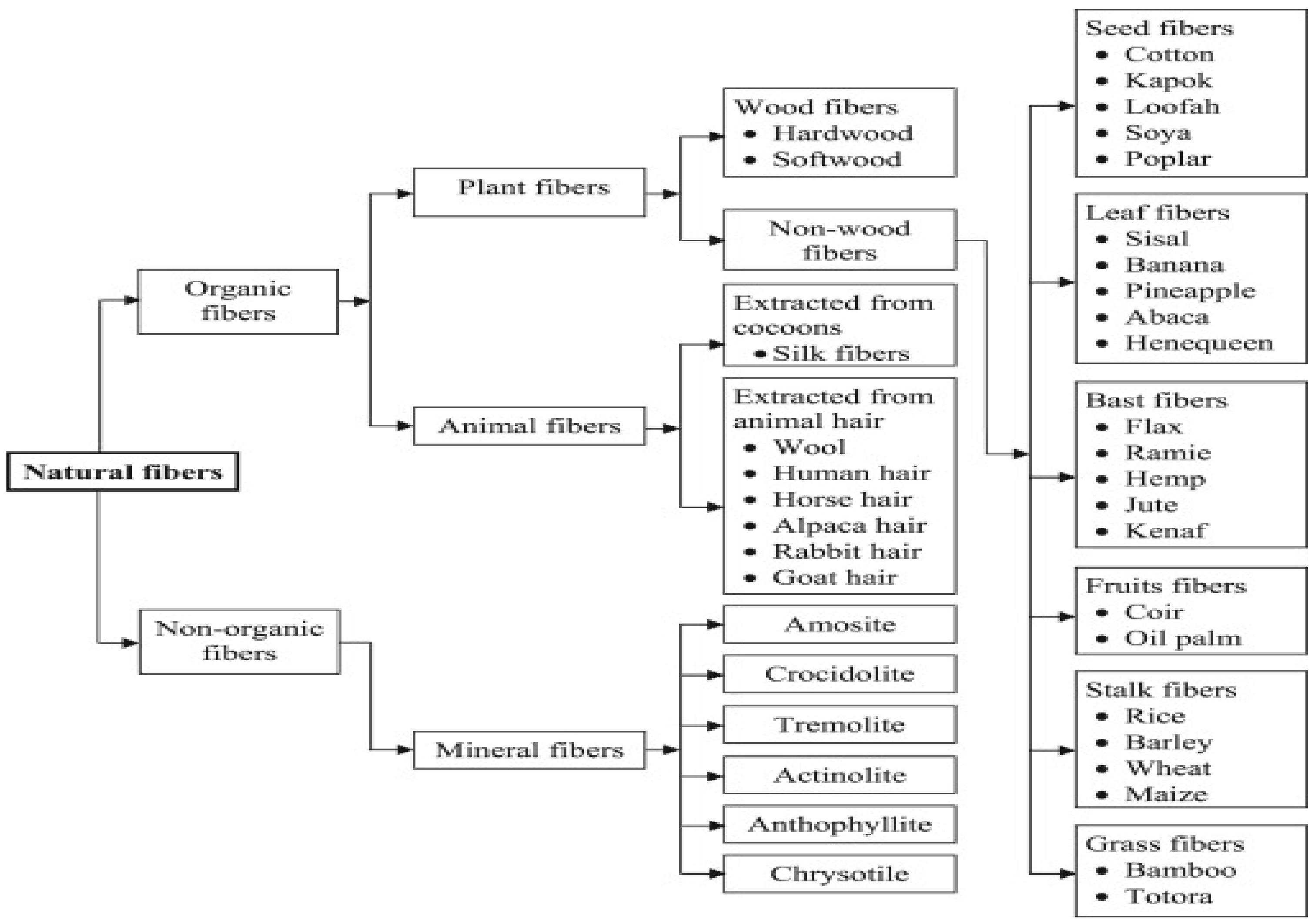 Sustainability 14 06691 g002