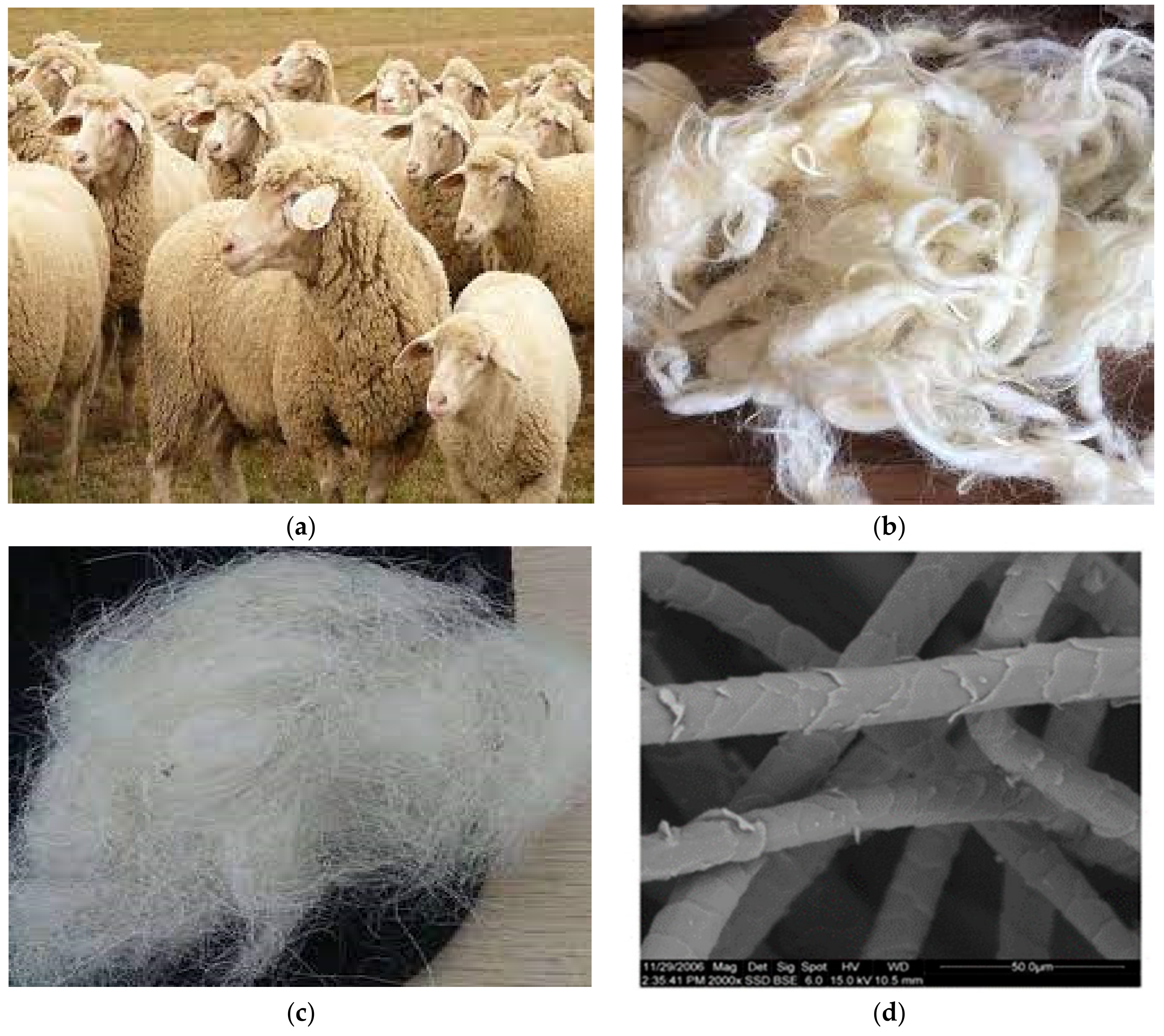 Sustainability 14 06691 g003