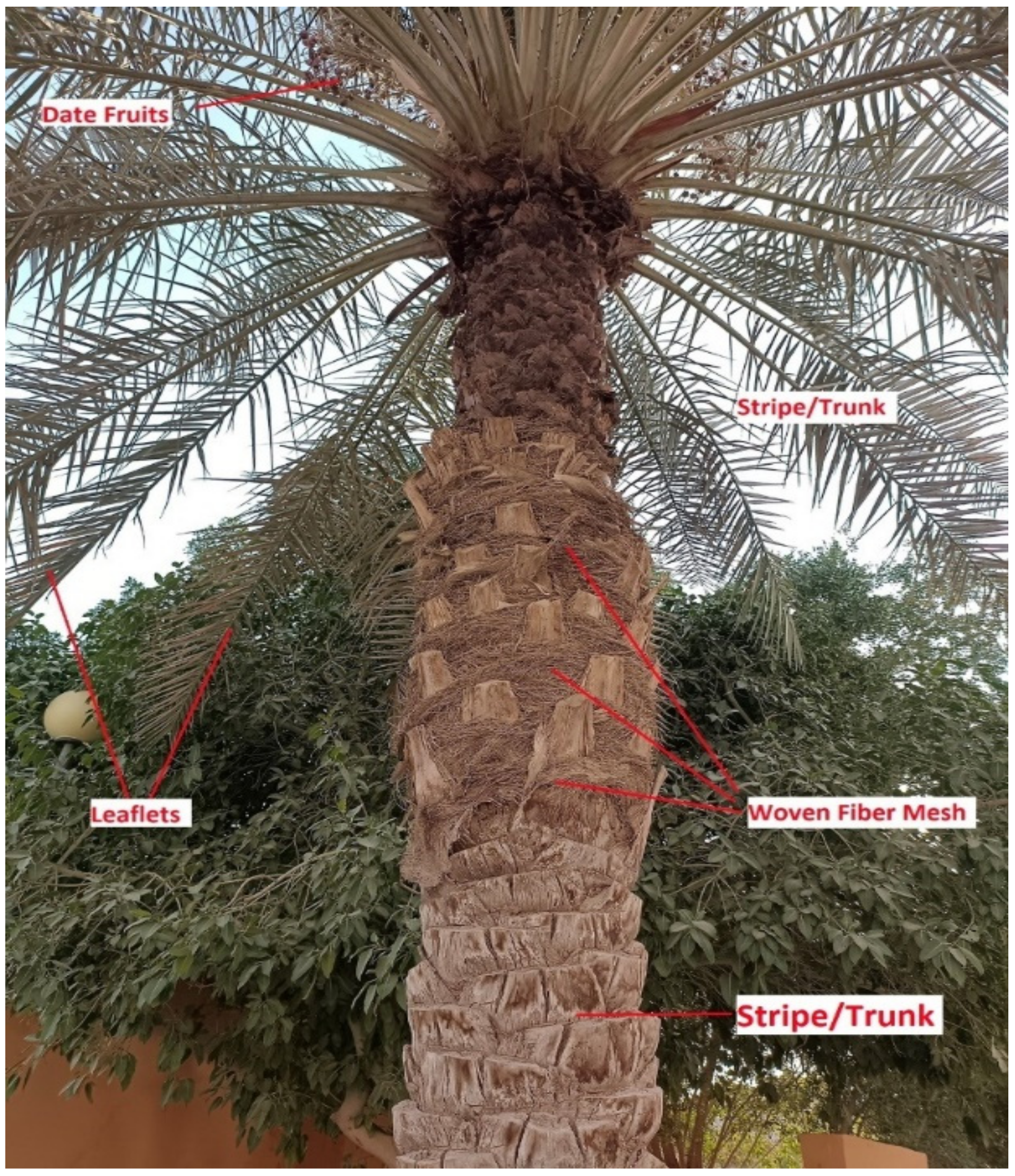 Sustainability 14 06691 g008