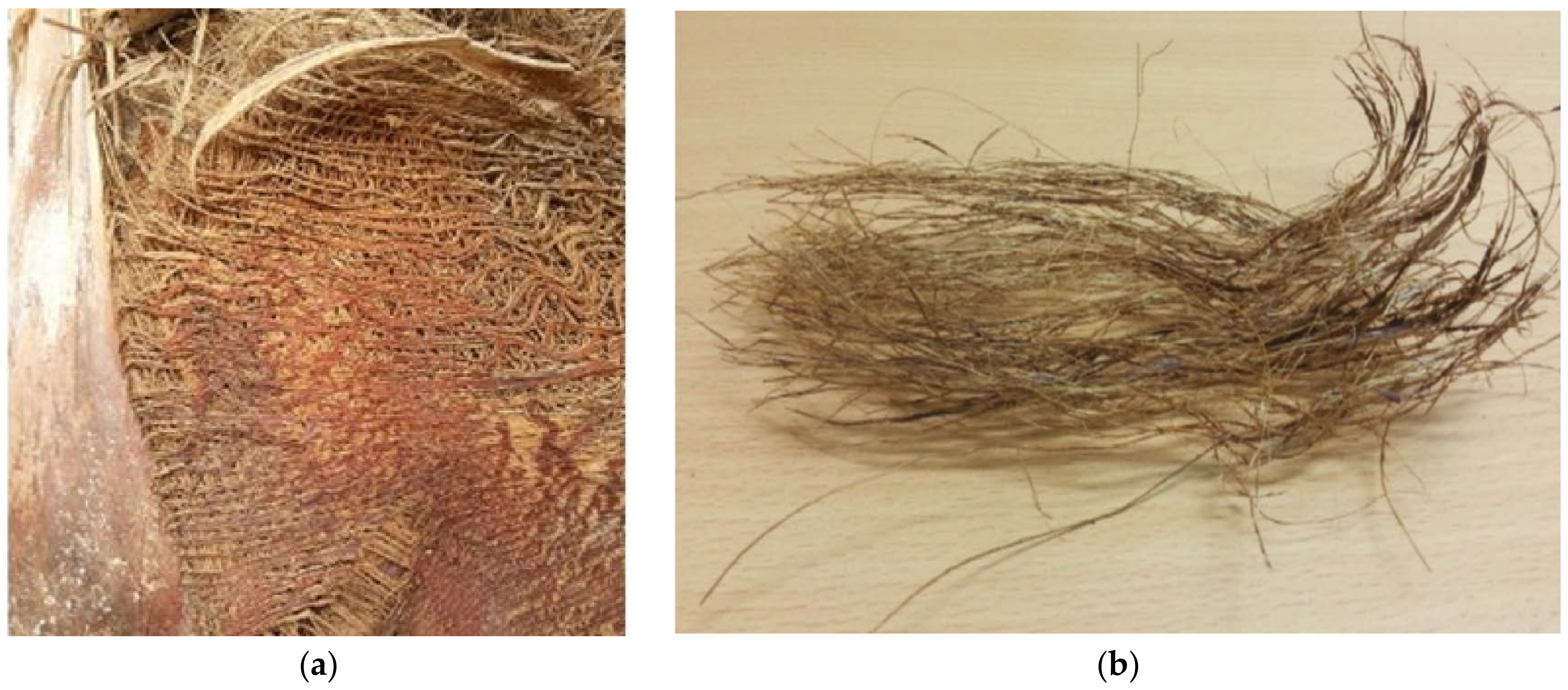 Sustainability 14 06691 g009 550