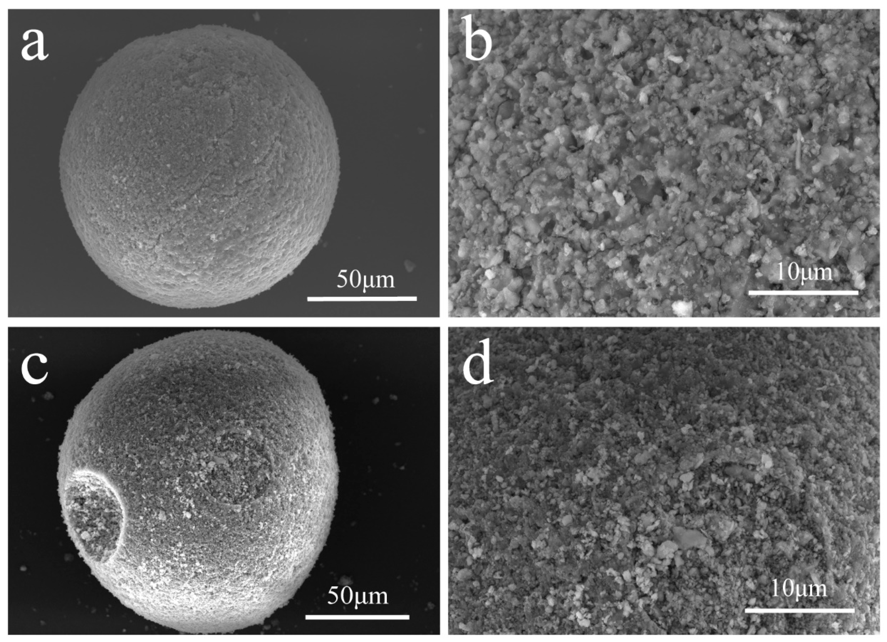 Sustainability 14 06705 g003