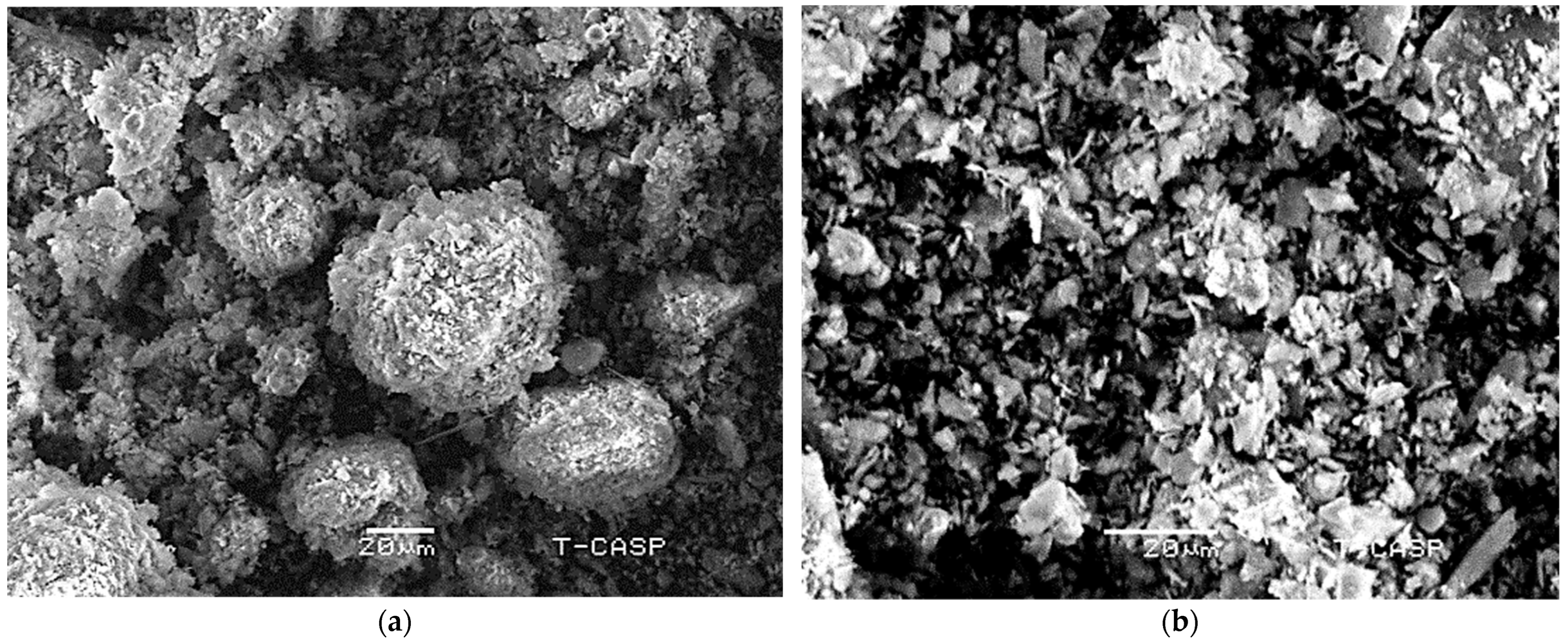 Sustainability 14 06711 g004